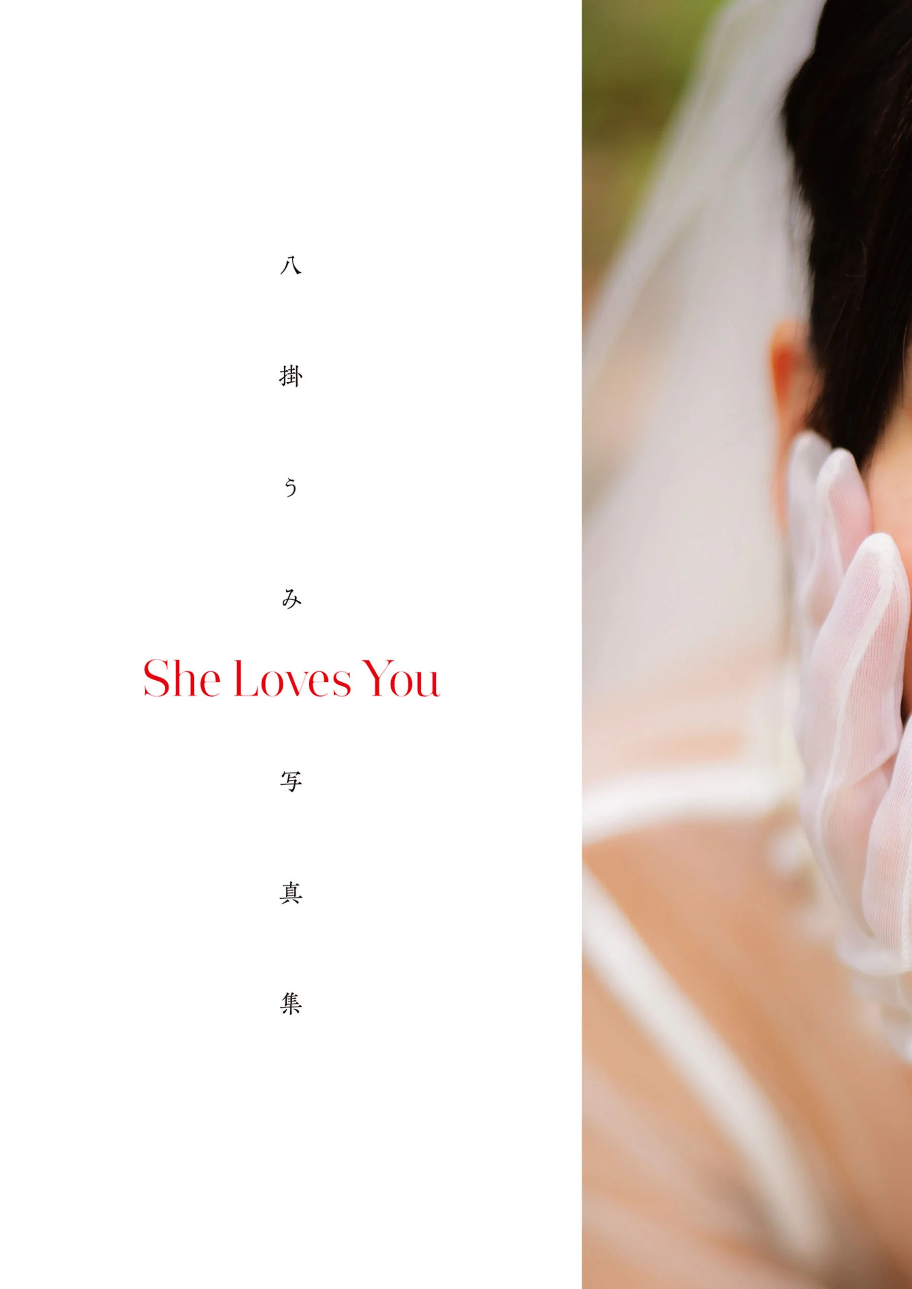 八挂海《She Loves You》 - Photo 11