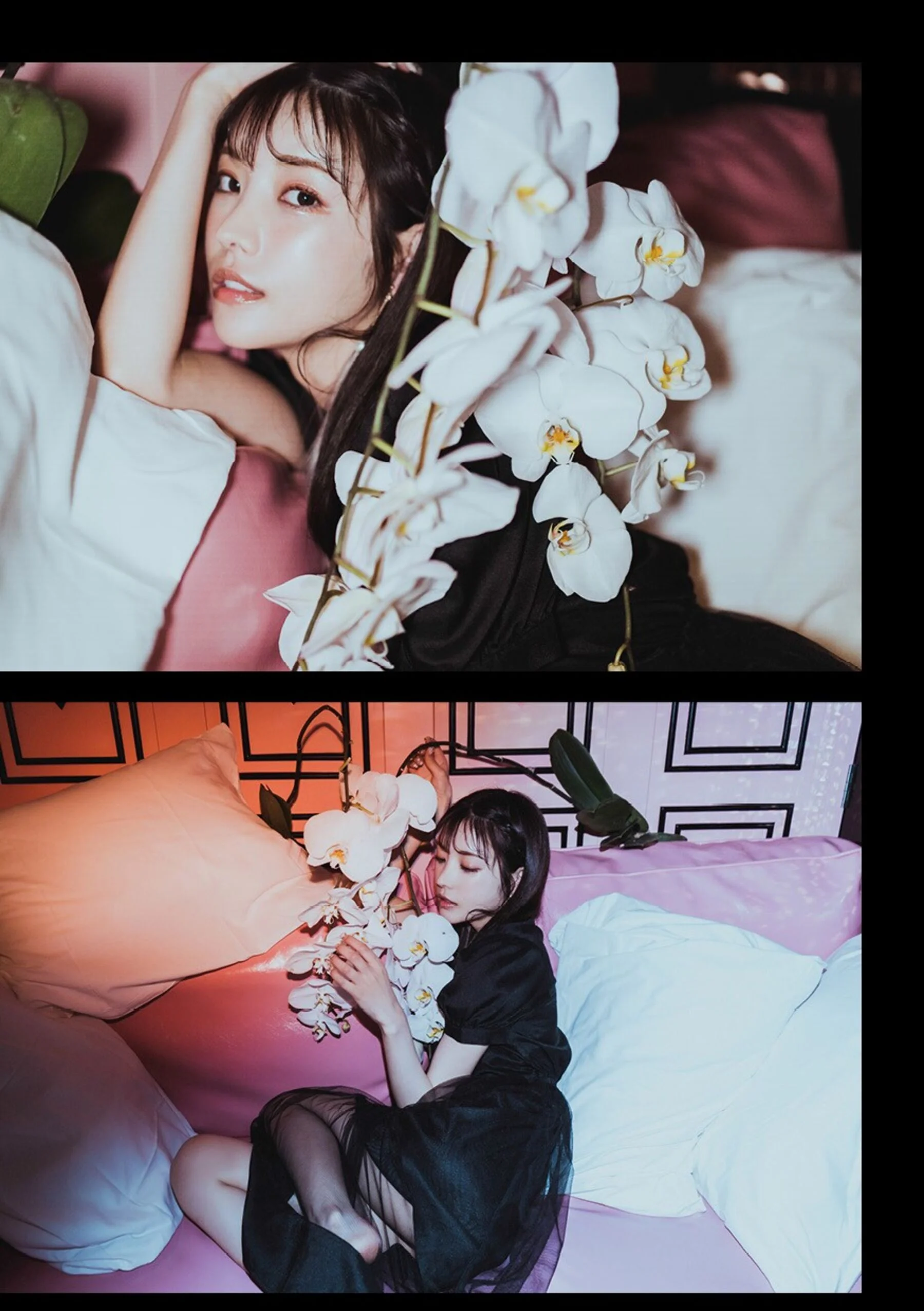 枫花恋 - Photo 6