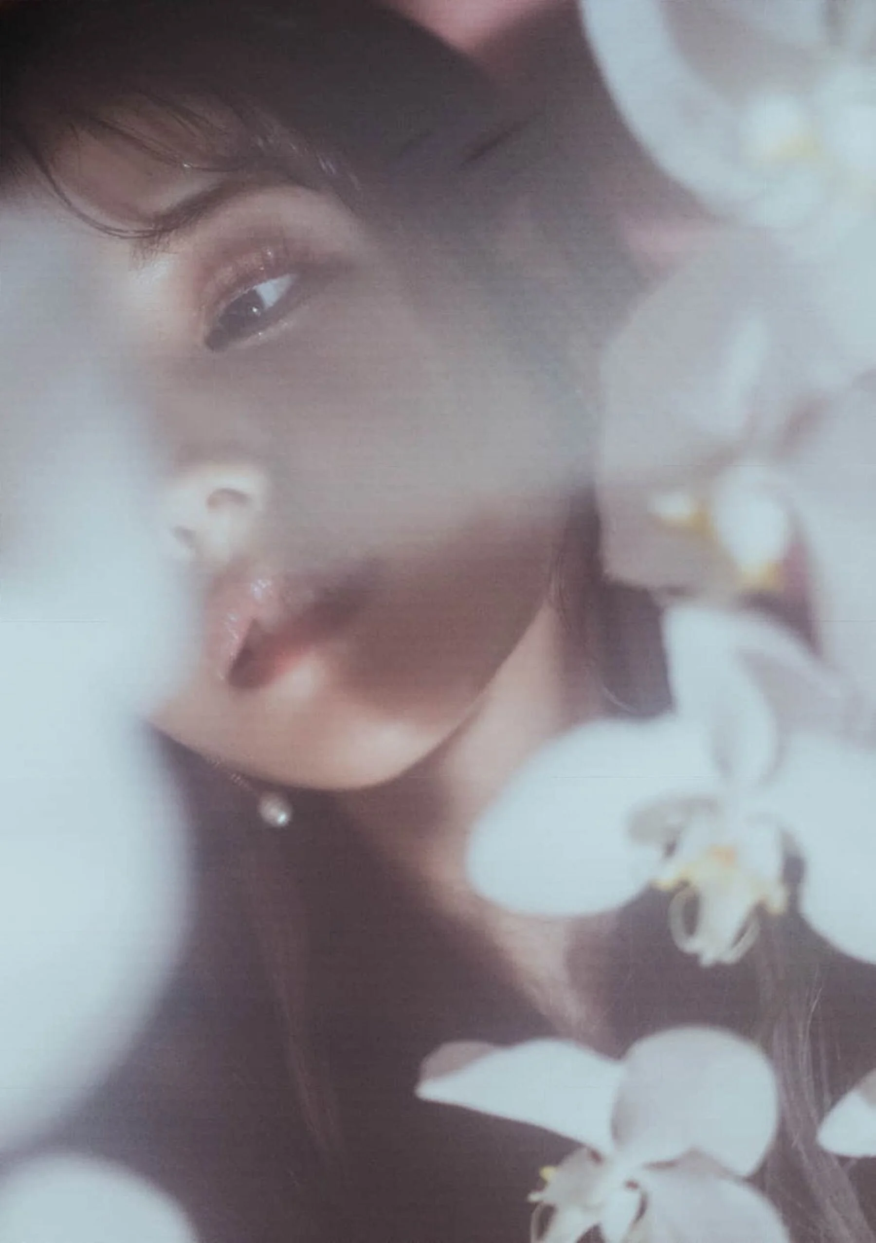 枫花恋 - Photo 8
