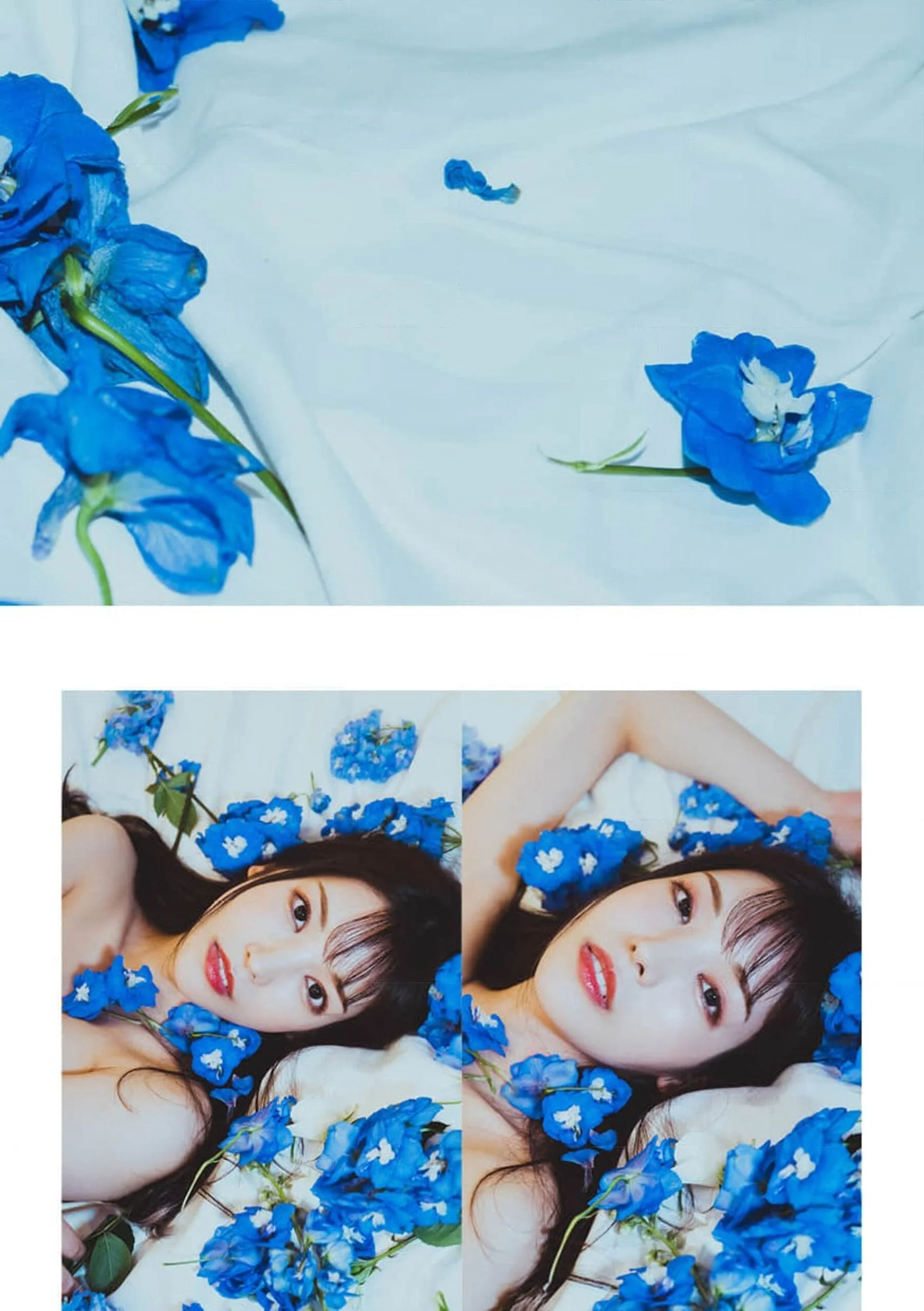 枫花恋 - Photo 55