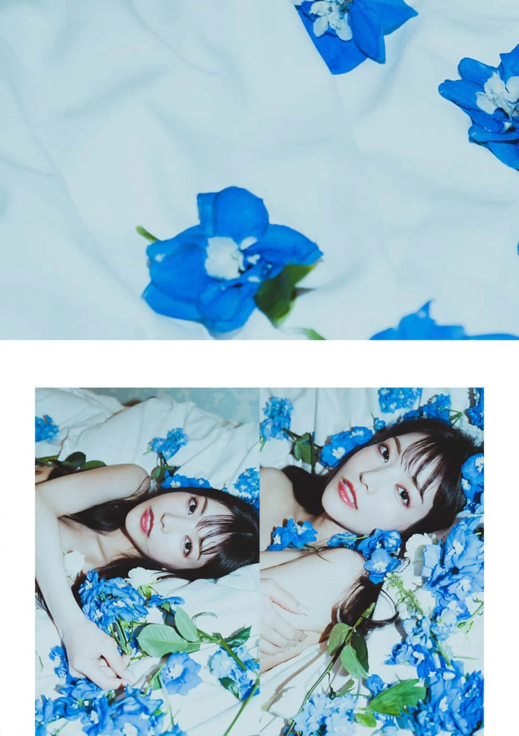 枫花恋 - Photo 56