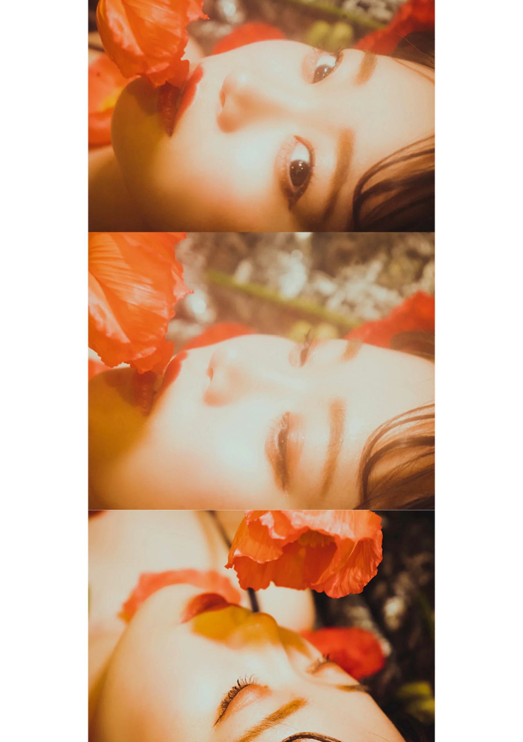 架乃由罗 - Photo 67