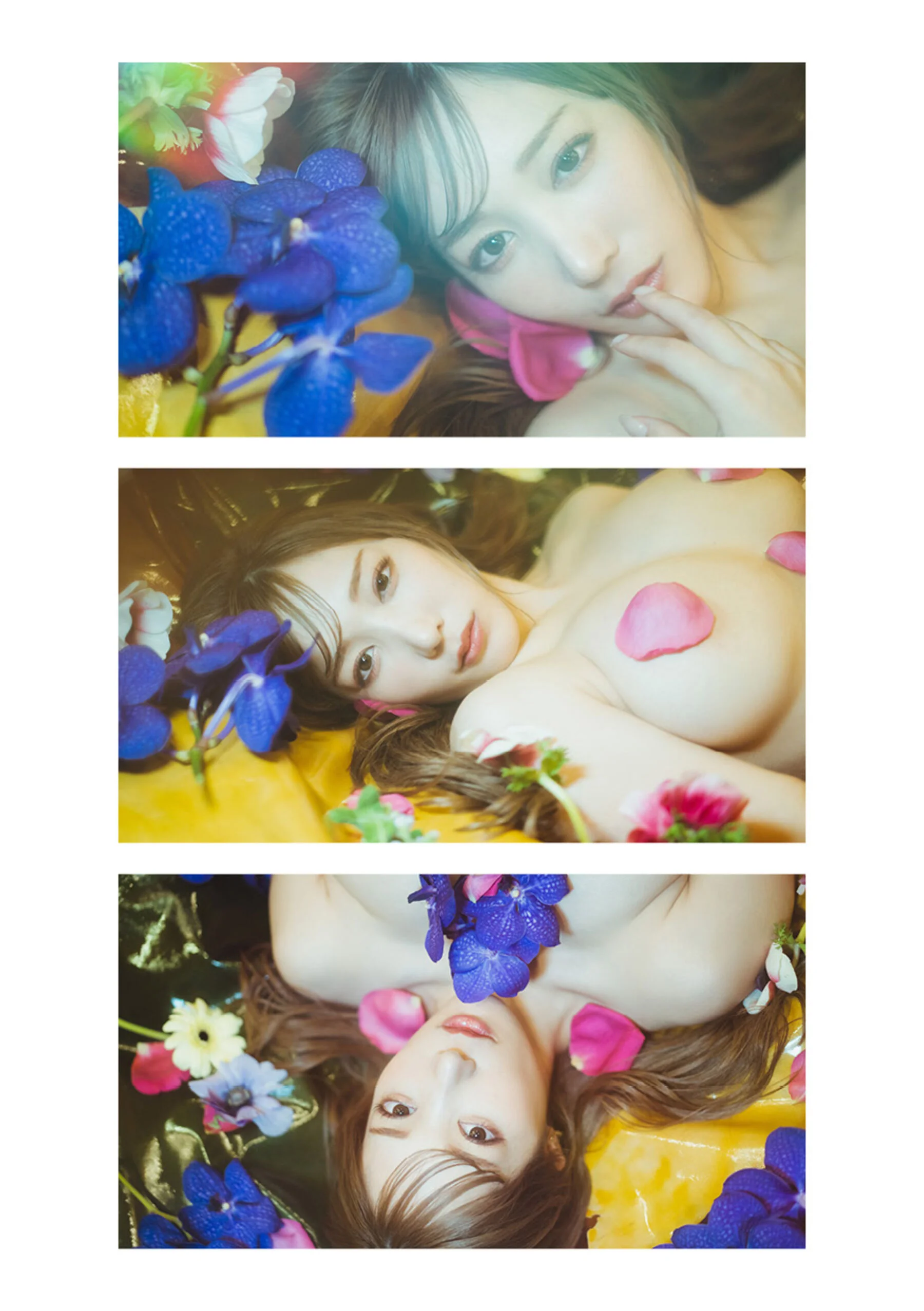 小宵虎南 - Photo 53