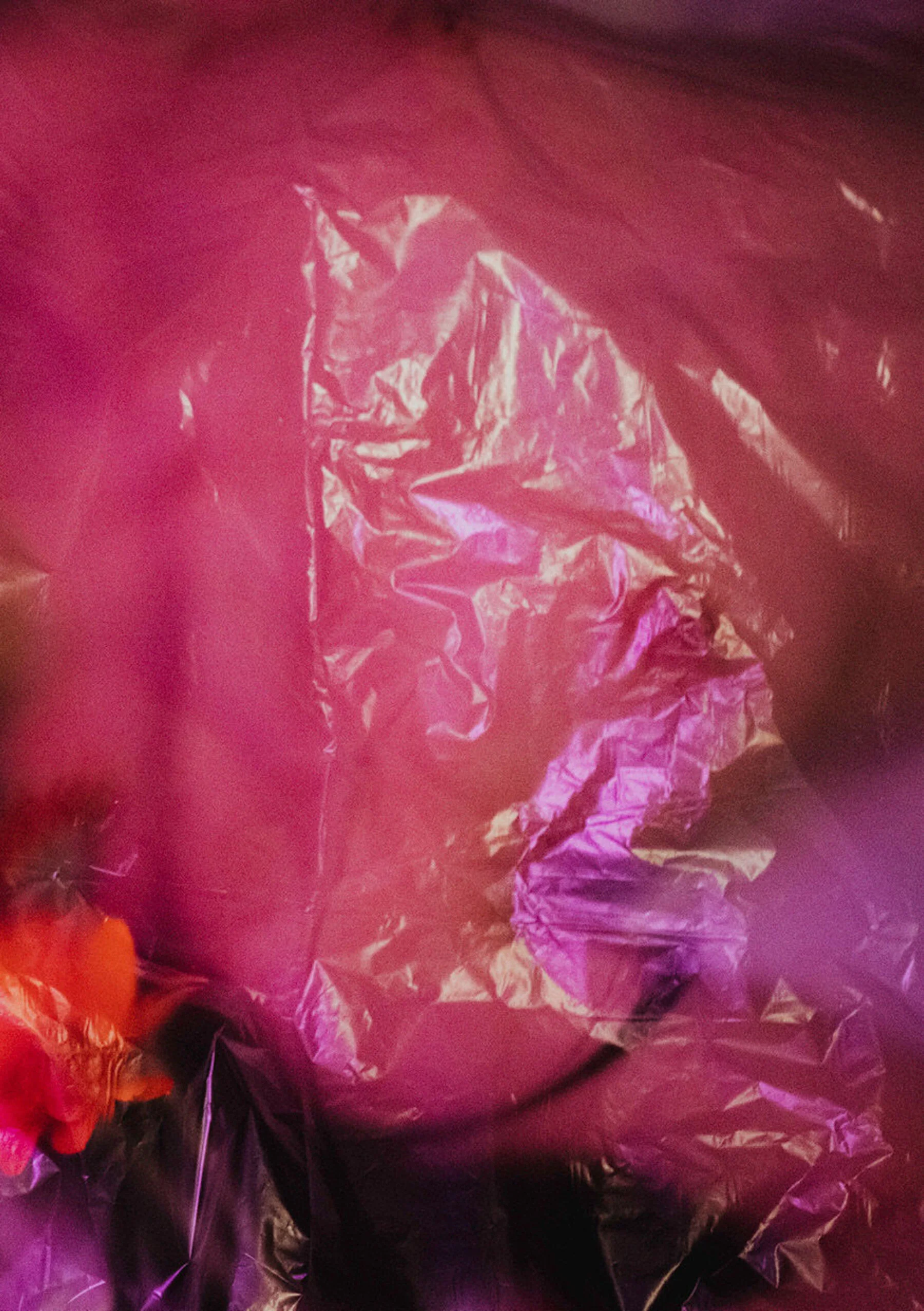 高桥圣子 - Photo 72