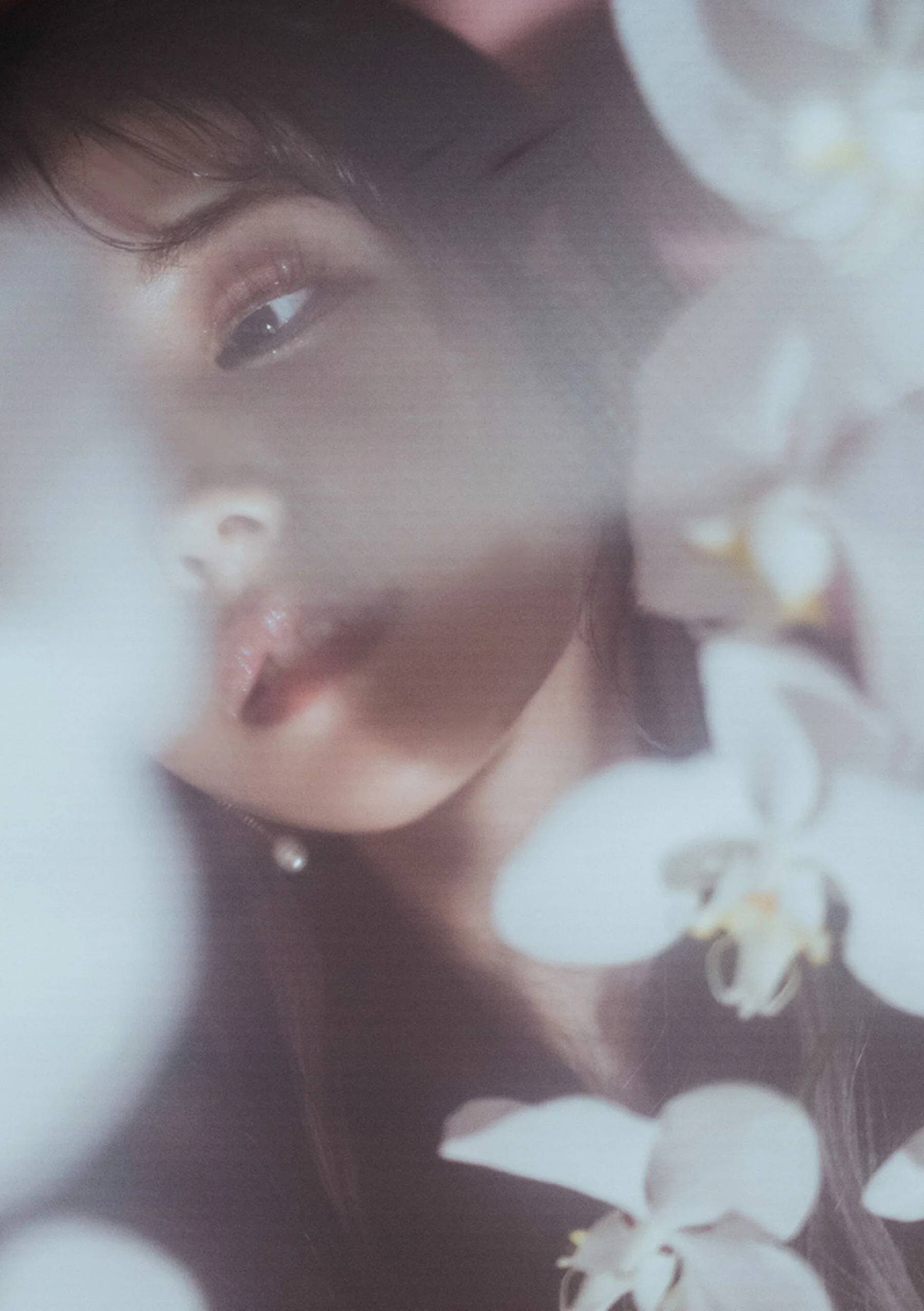 枫花恋 - Photo 7