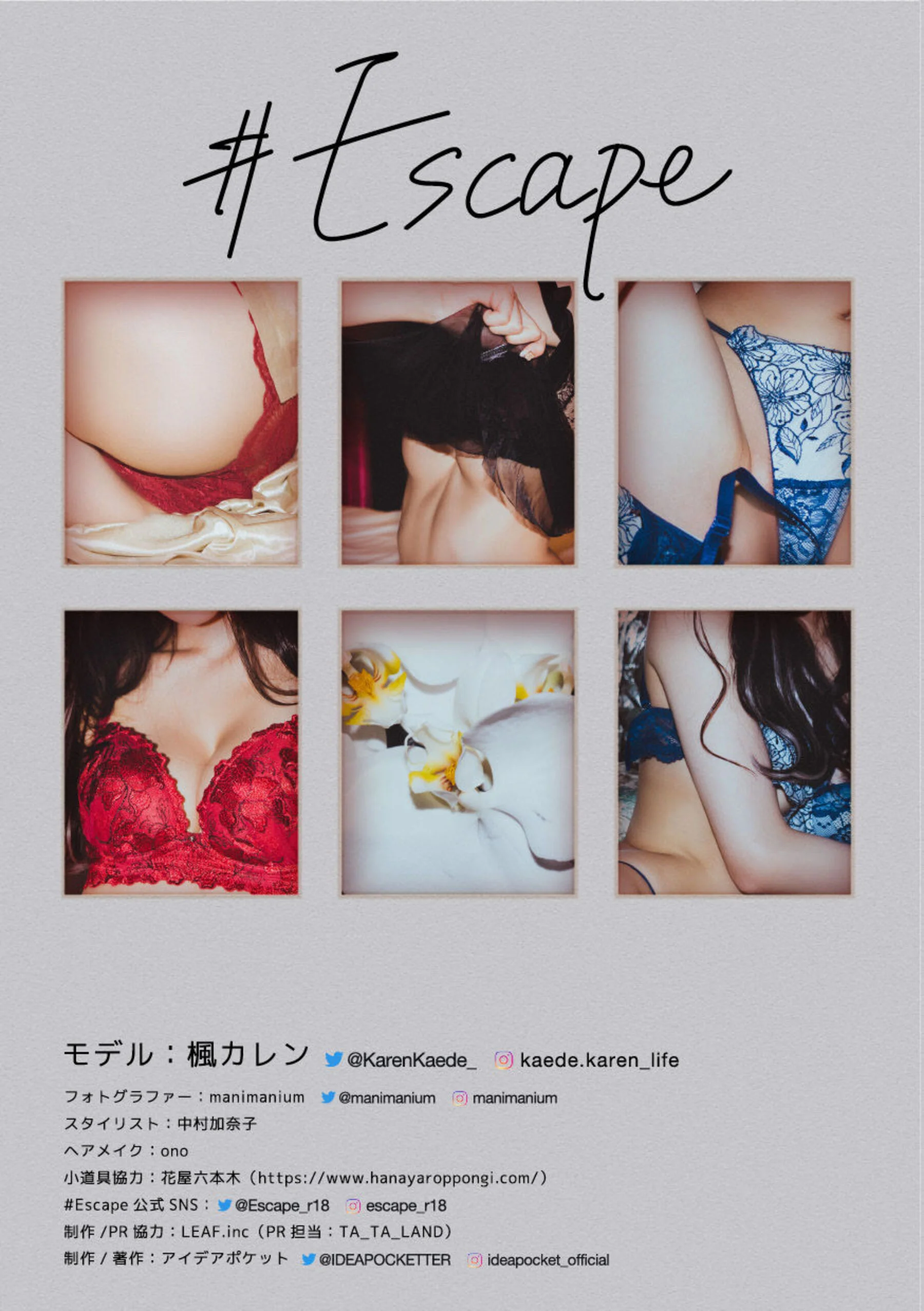 枫花恋 - Photo 100