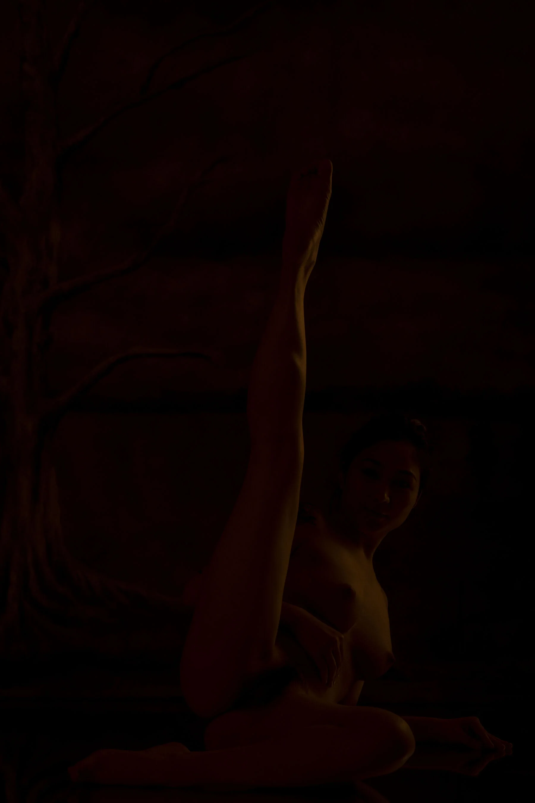 国模林玲大尺度人体私拍套图 - Photo 561