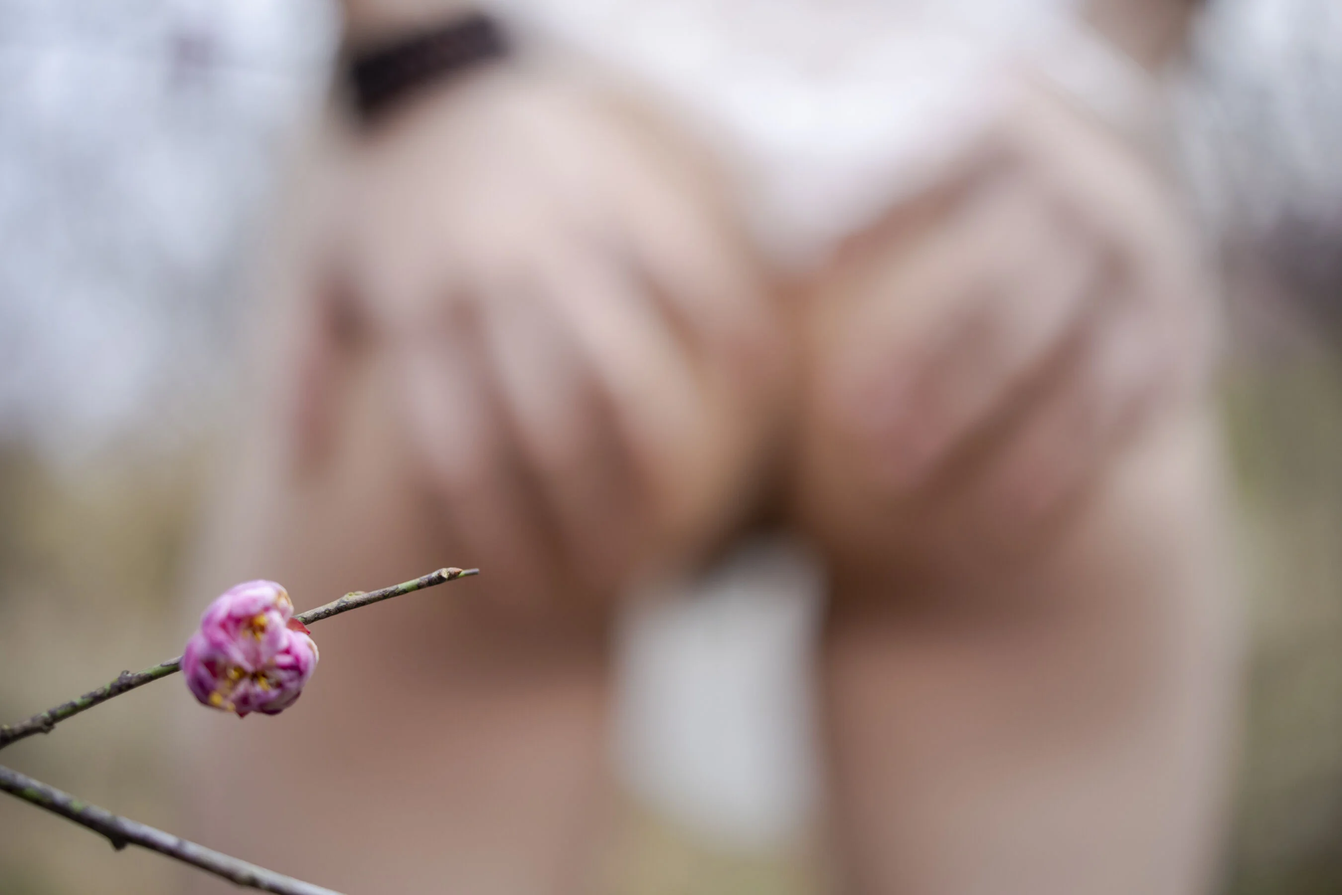 国模果果大尺度人体私拍套图 - Photo 466