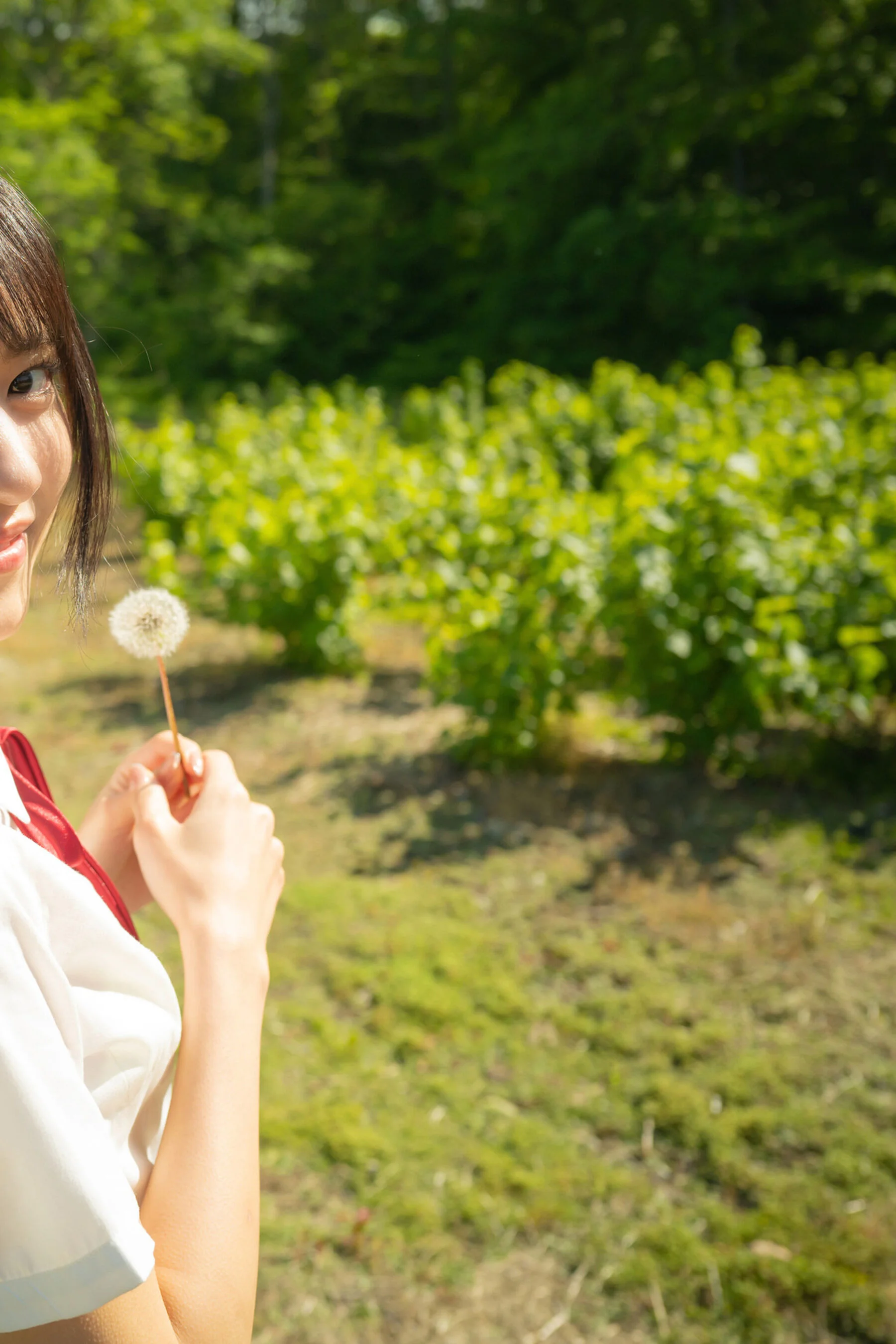 八挂海《八月のうみ》 - Photo 16