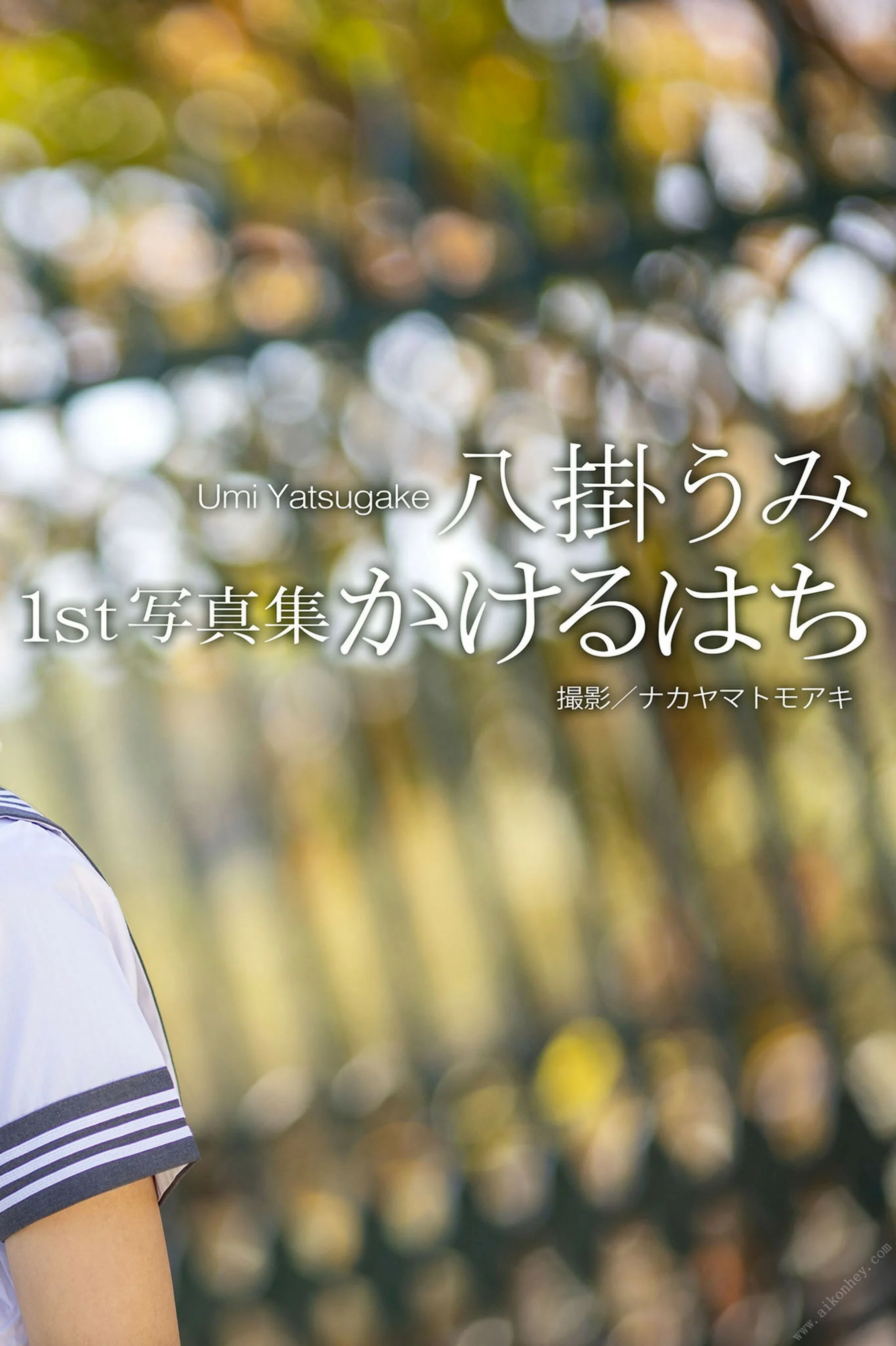 八挂海《かけるはち》 - Photo 5