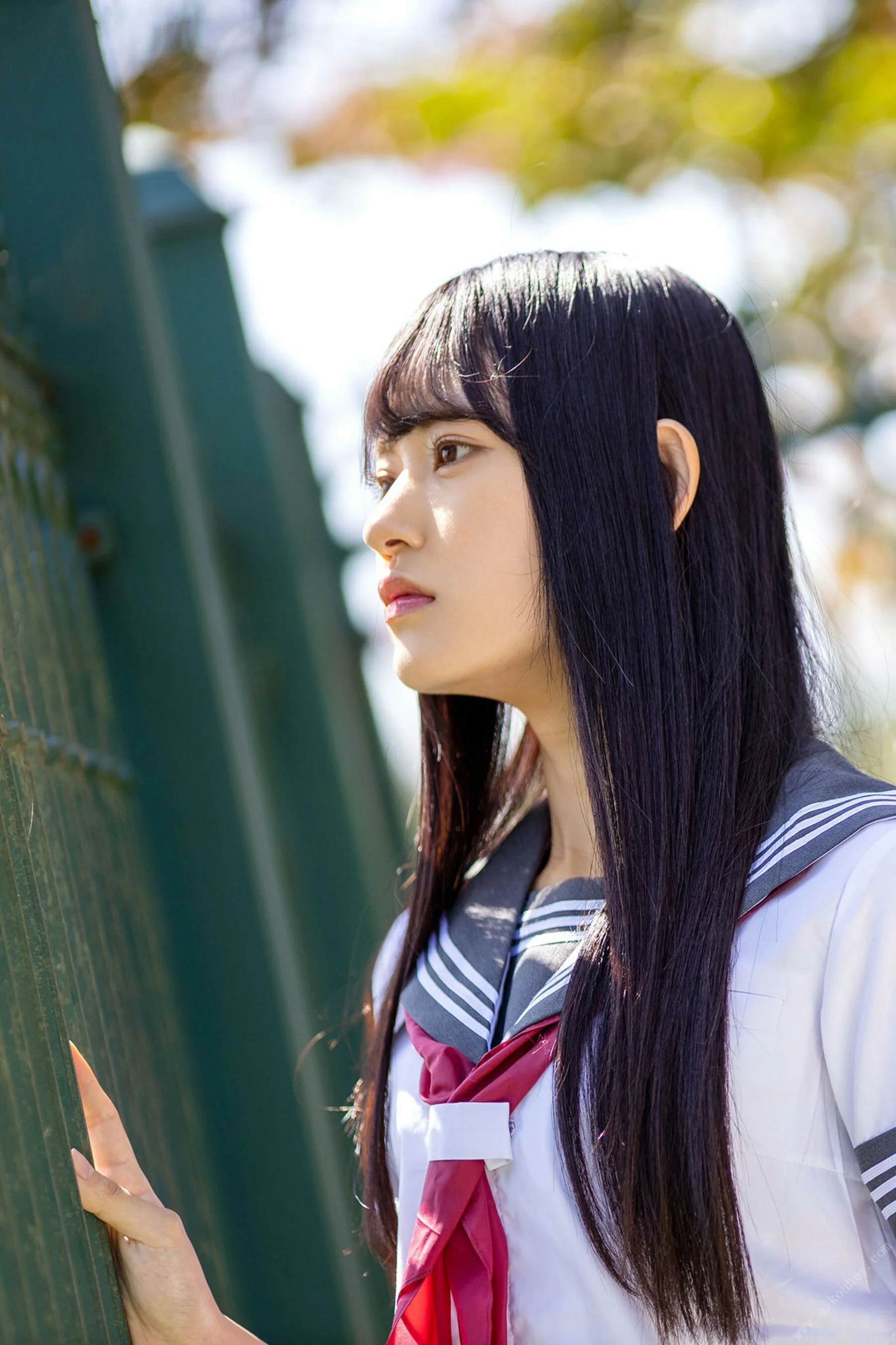 八挂海《かけるはち》 - Photo 6