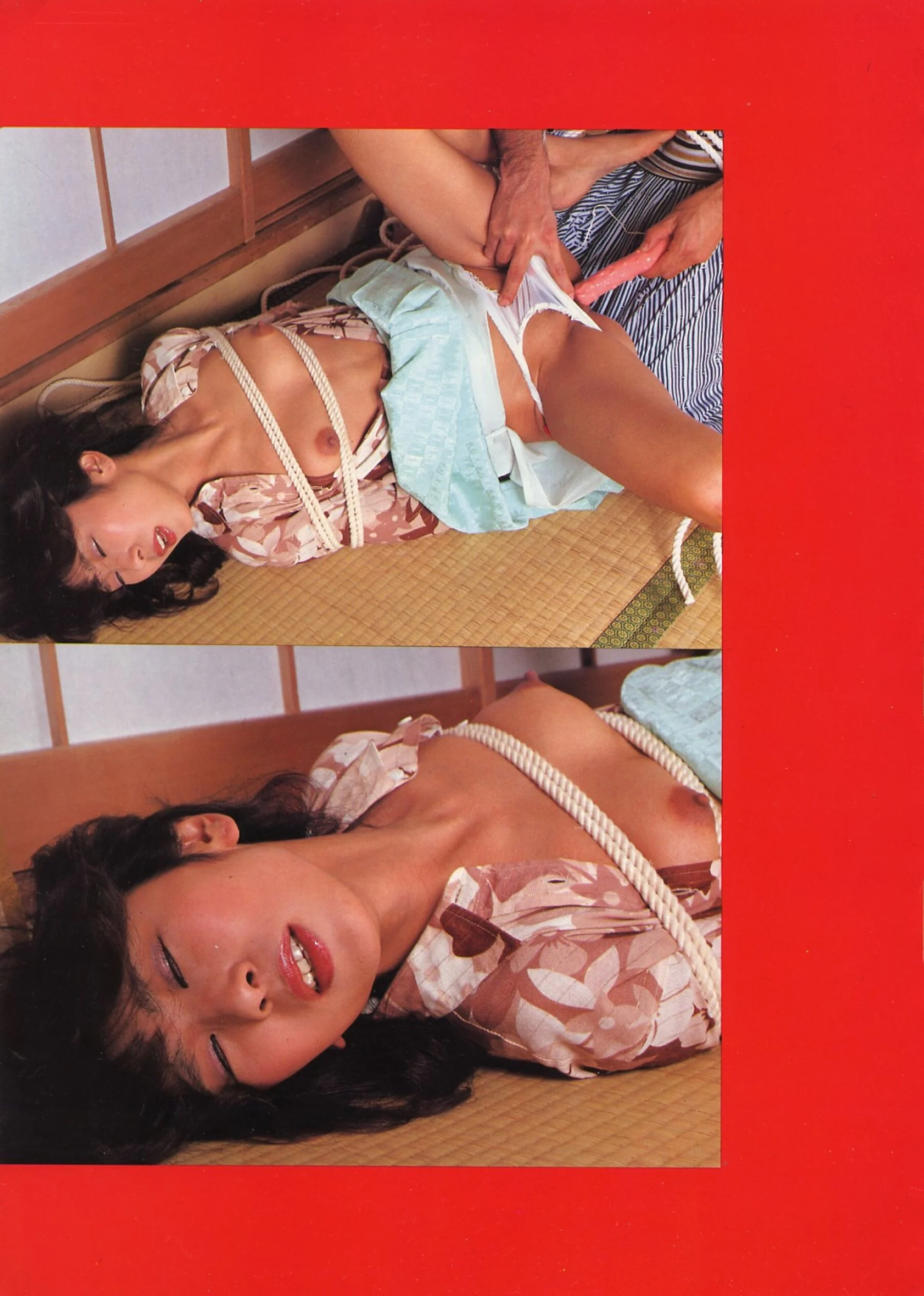 松本良子《すっぽん》 - Photo 40