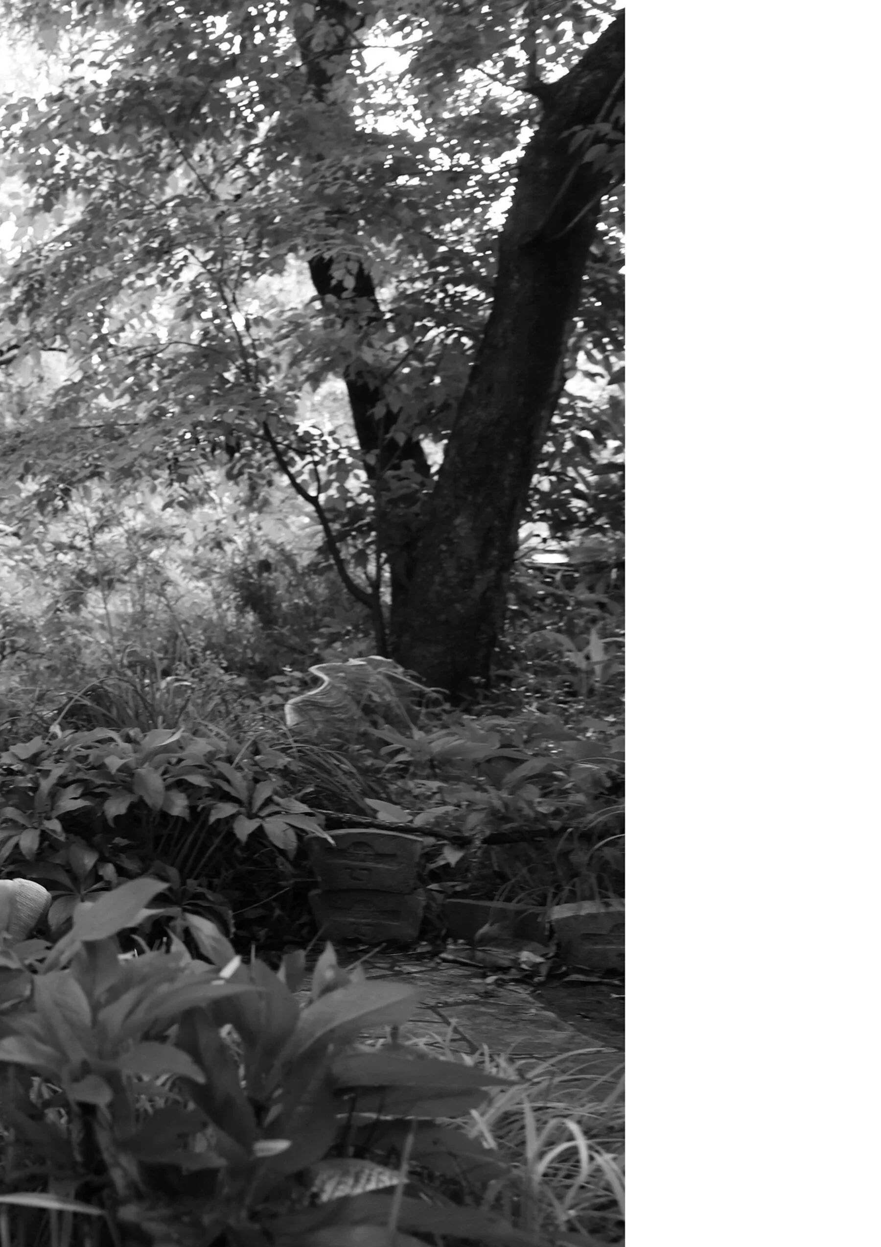8woman SIDE：B - Photo 6