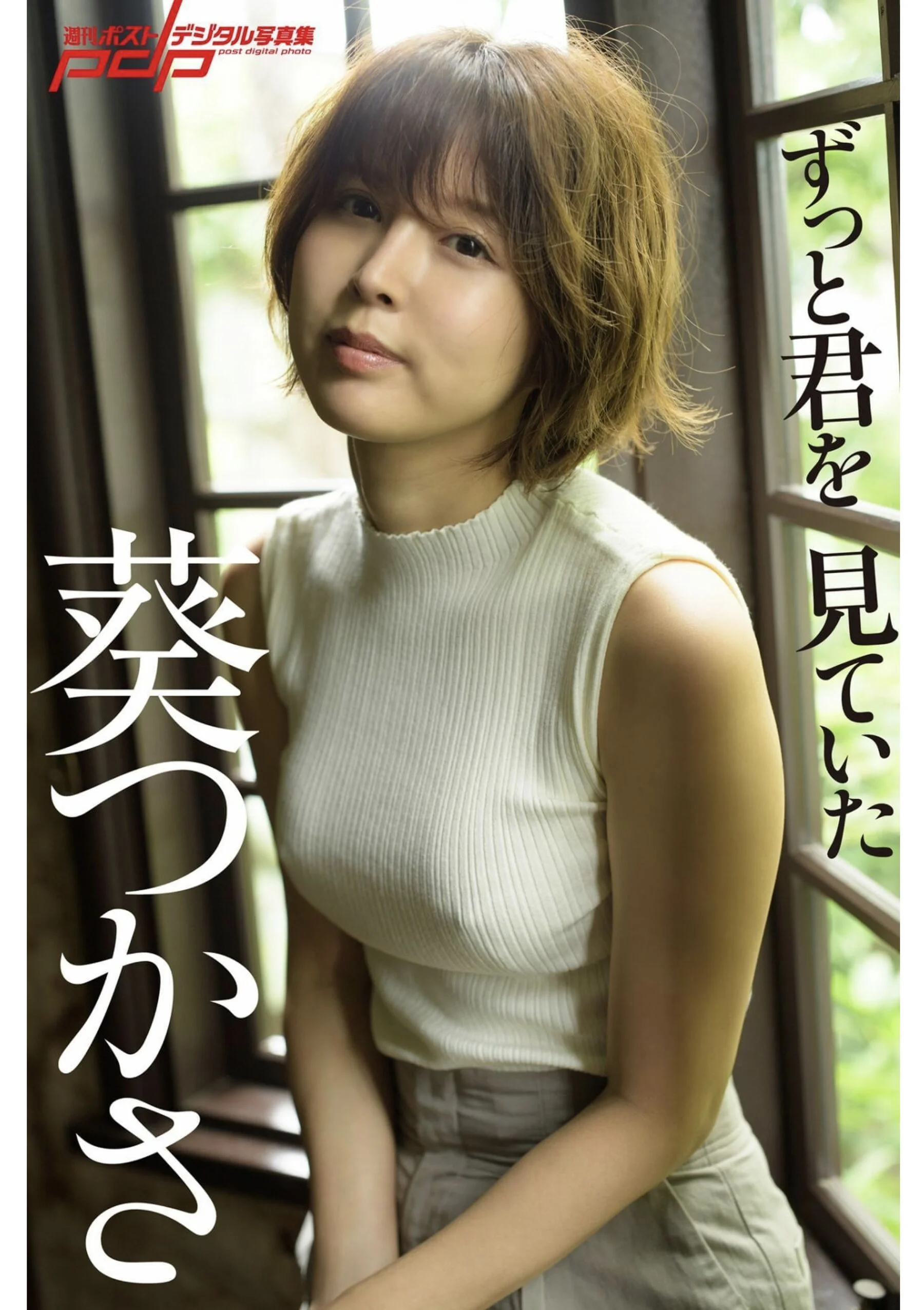葵司《「ずっと君を见ていた」》