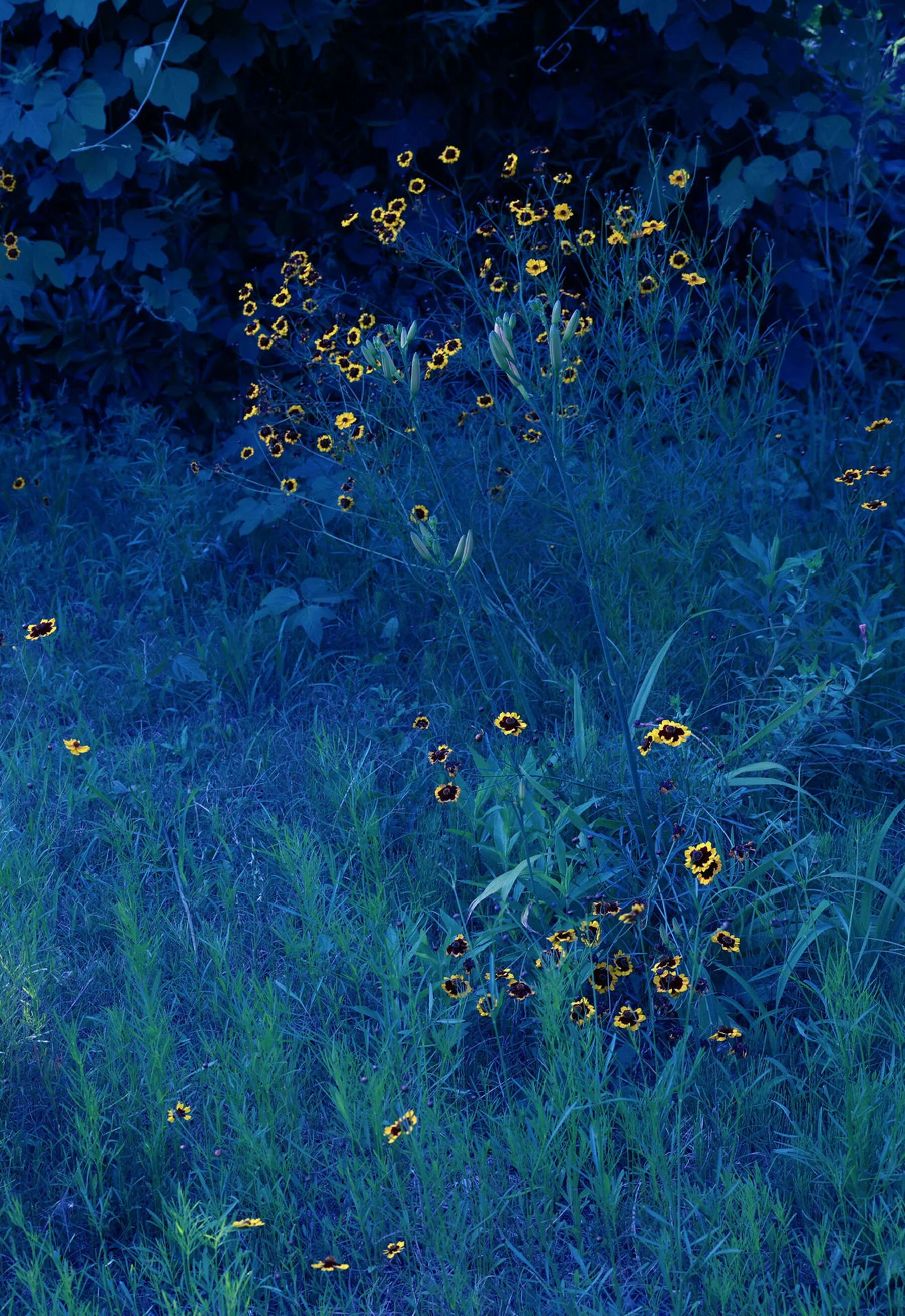 安斋拉拉《La La La Love shock》 - Photo 80