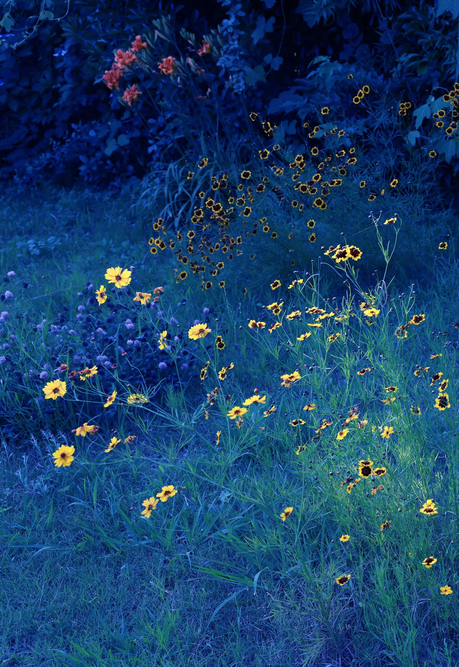 安斋拉拉《La La La Love shock》 - Photo 81