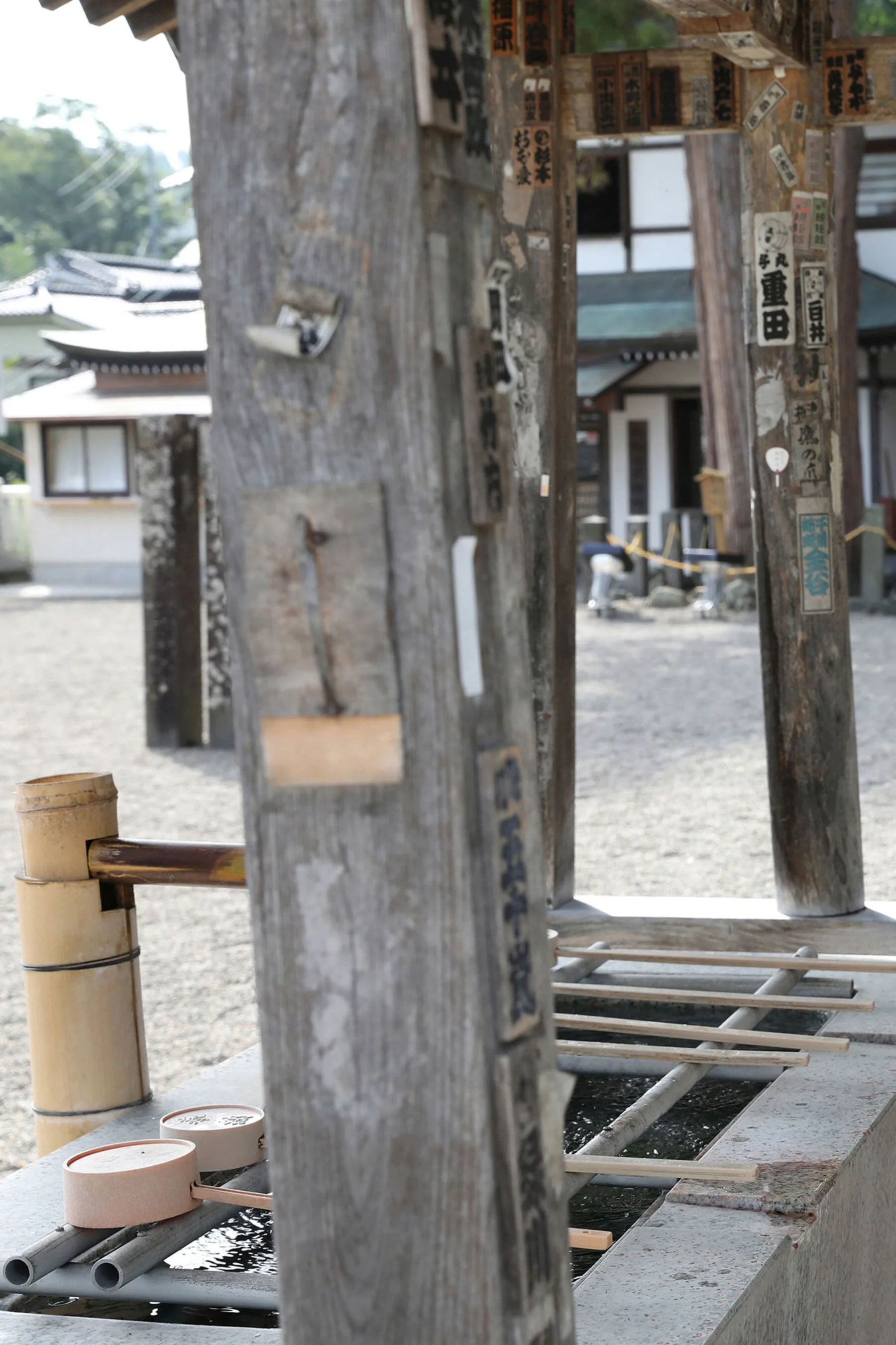 葵司《きみに溺れてる》 - Photo 5