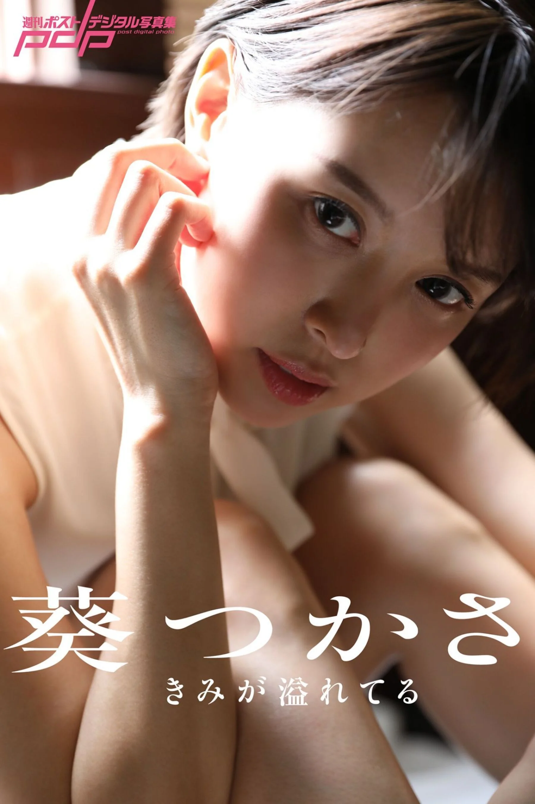 葵司《きみが溢れてる》