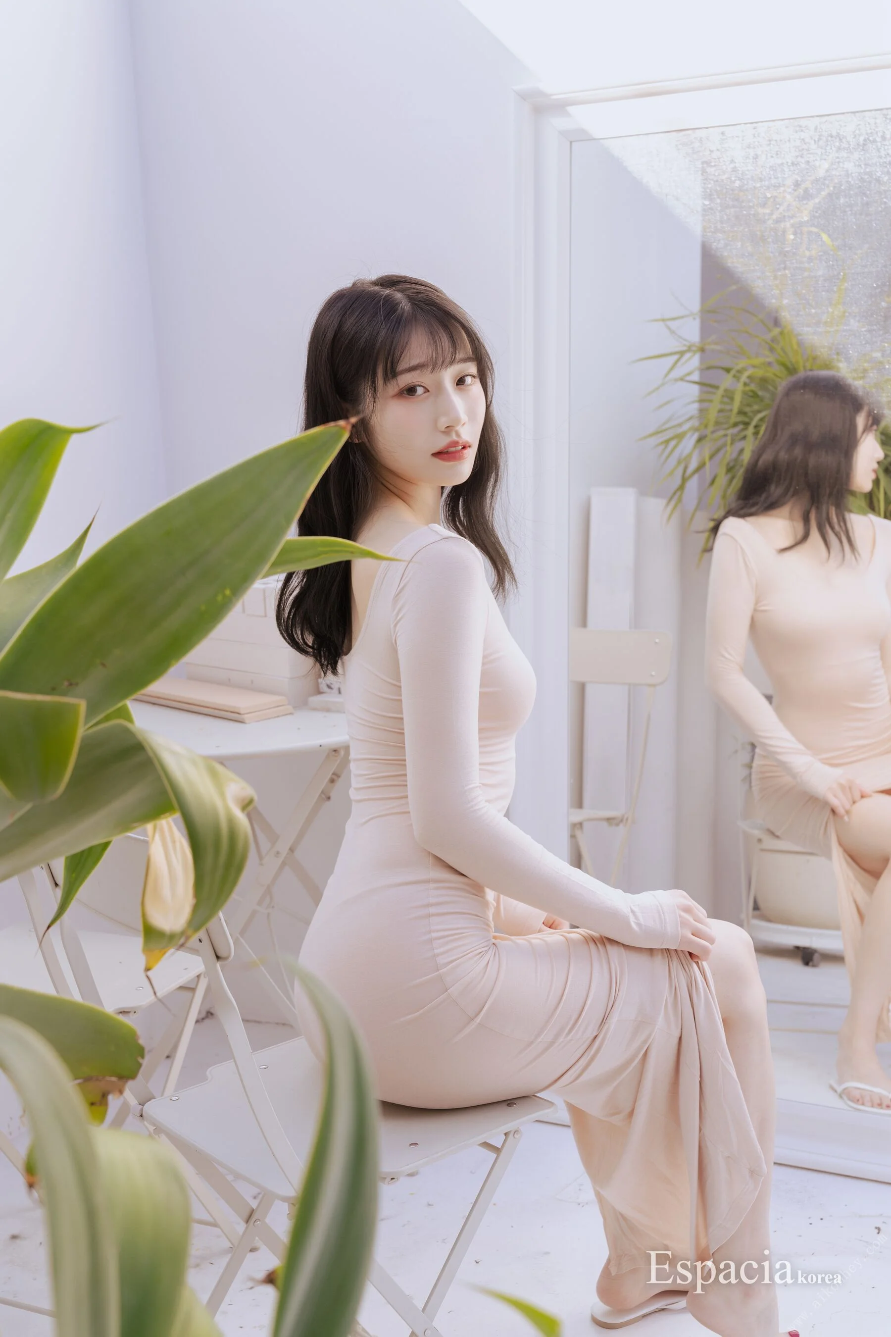 河北彩花