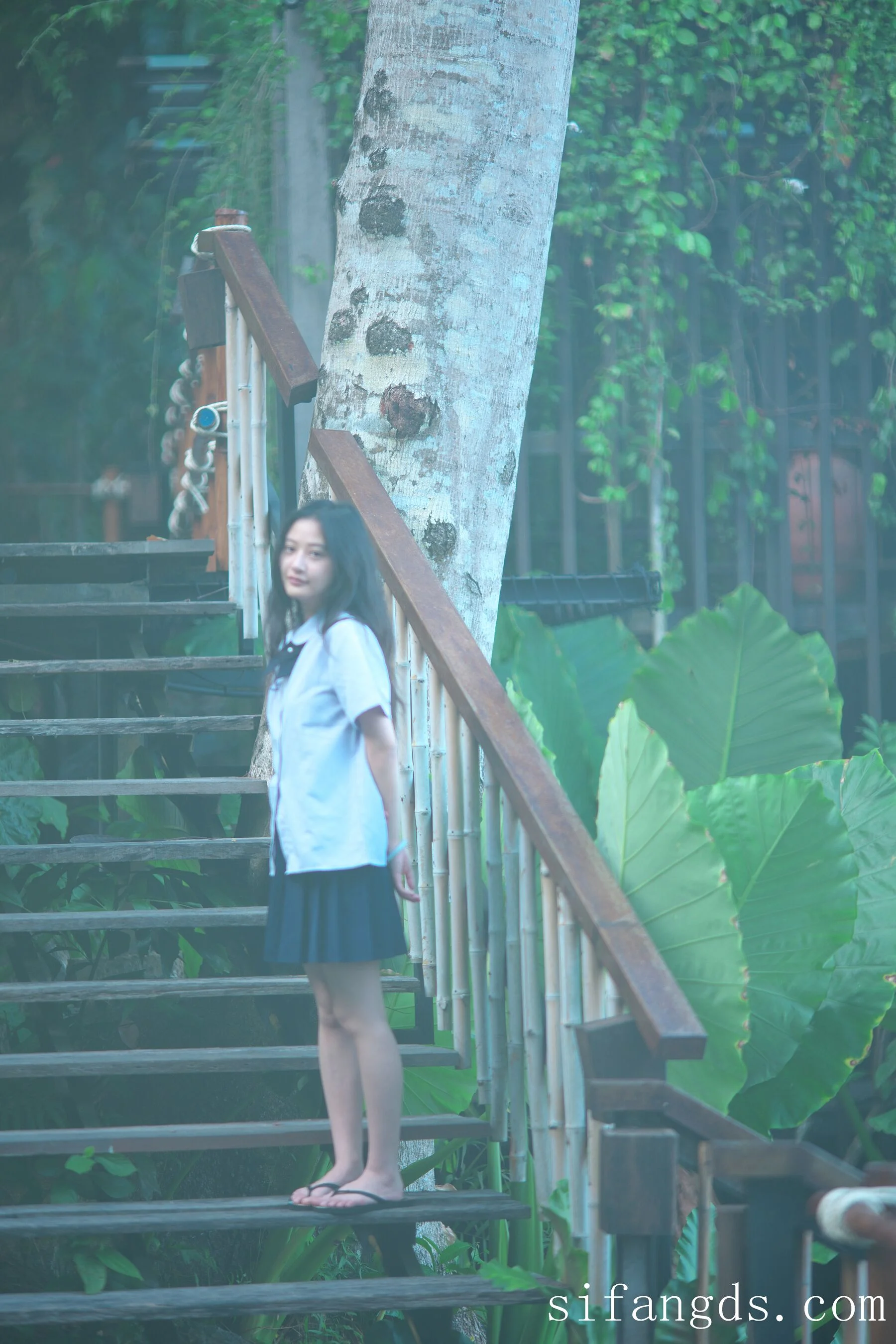 茂木希子《普吉岛旅拍》 - Photo 714