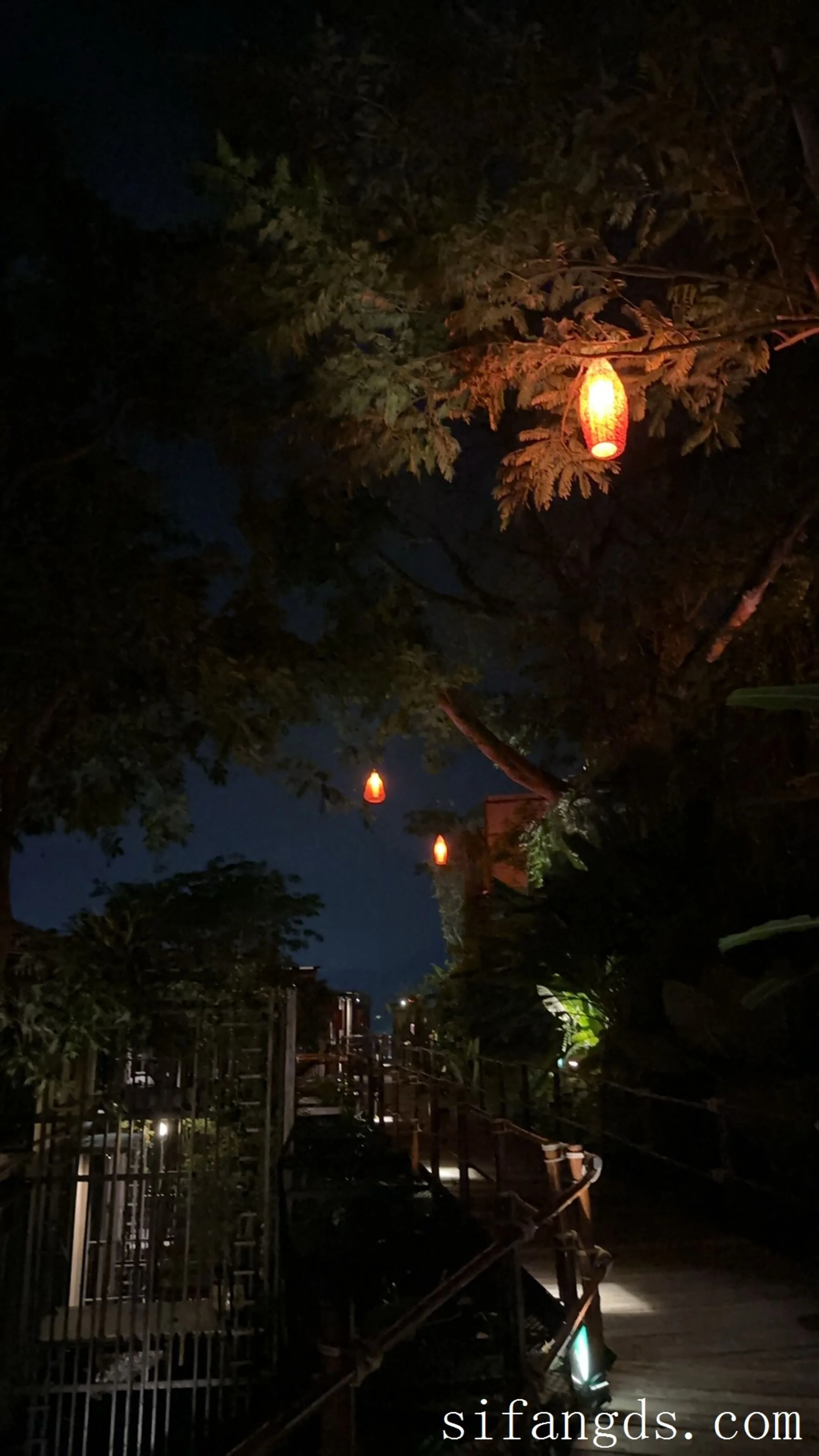 茂木希子《普吉岛旅拍·花絮》 - Photo 386