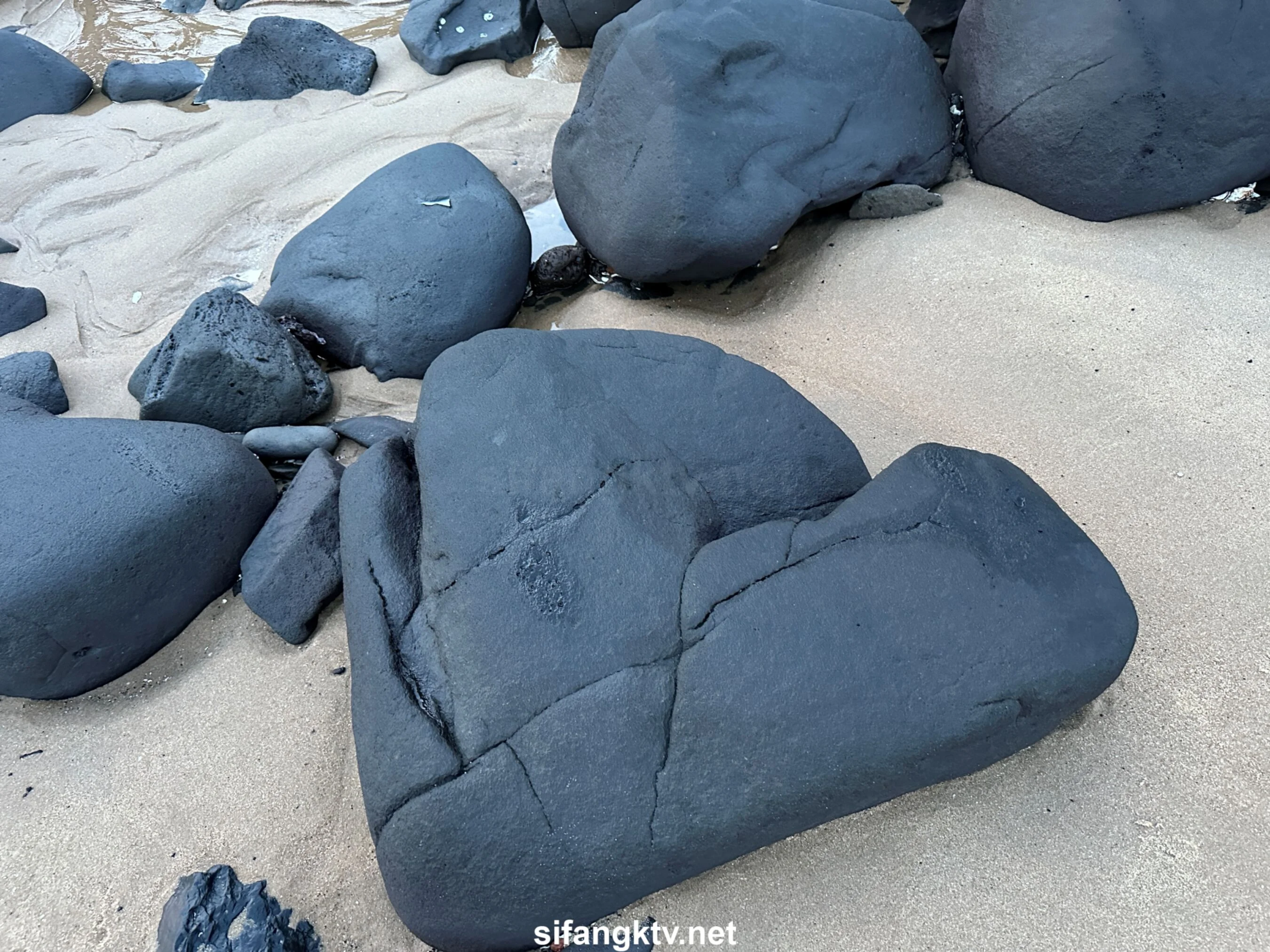 国模小初大尺度人体私拍套图 - Photo 715