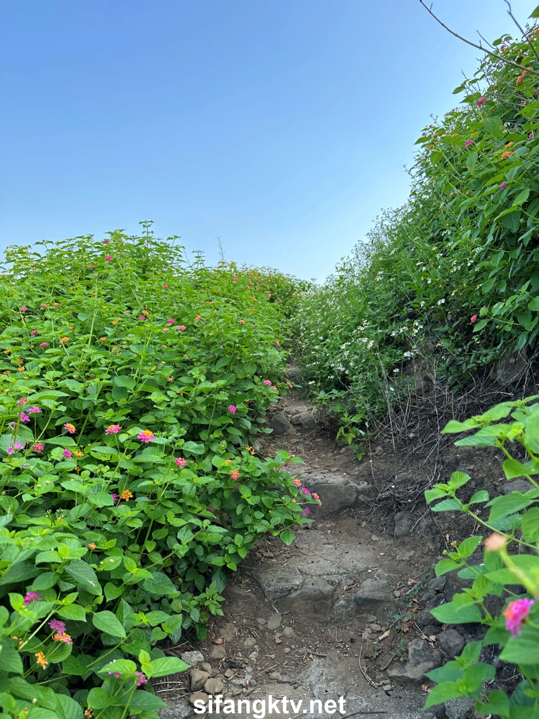 国模小初大尺度人体私拍套图 - Photo 975