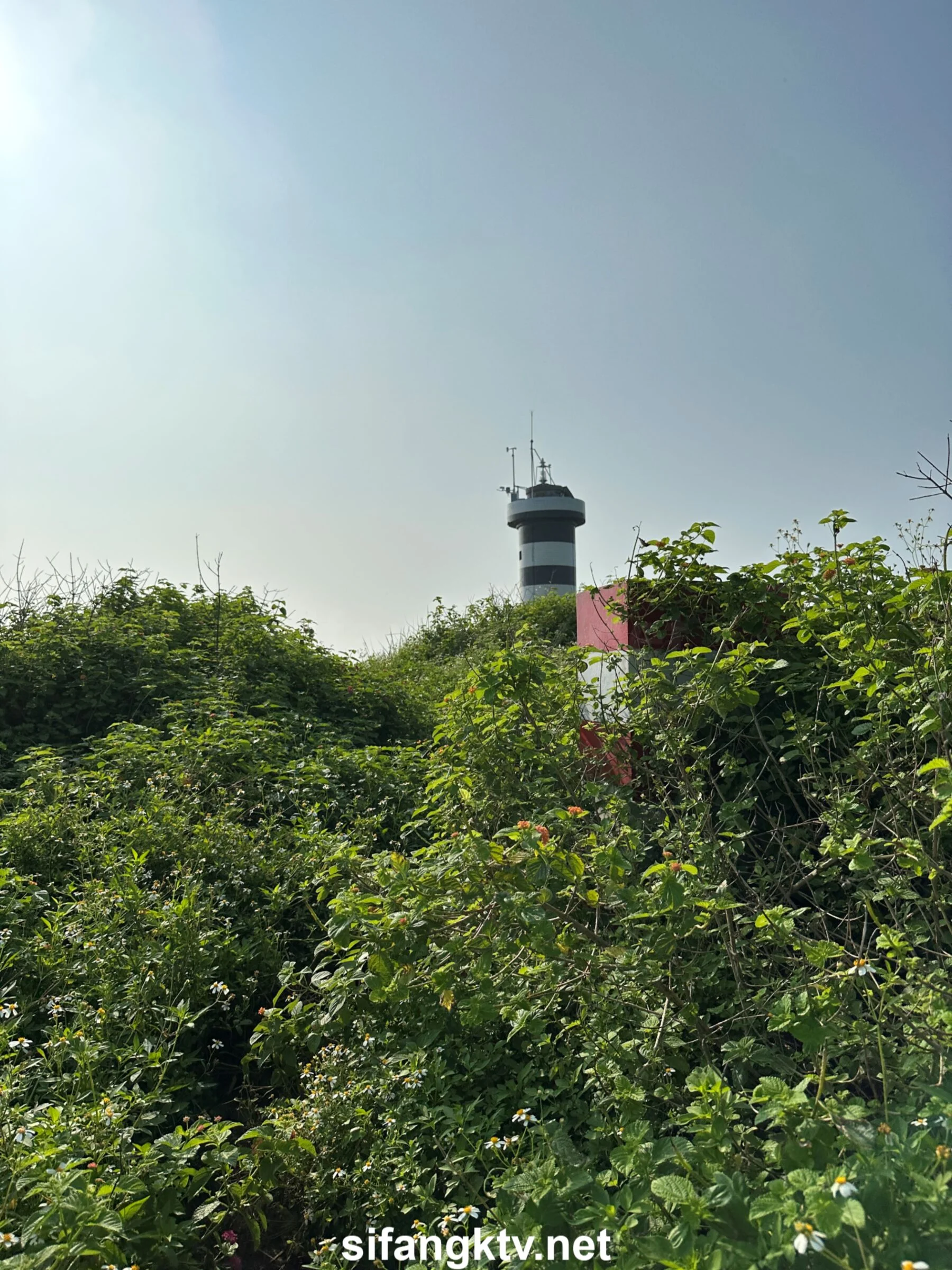 国模小初大尺度人体私拍套图 - Photo 980