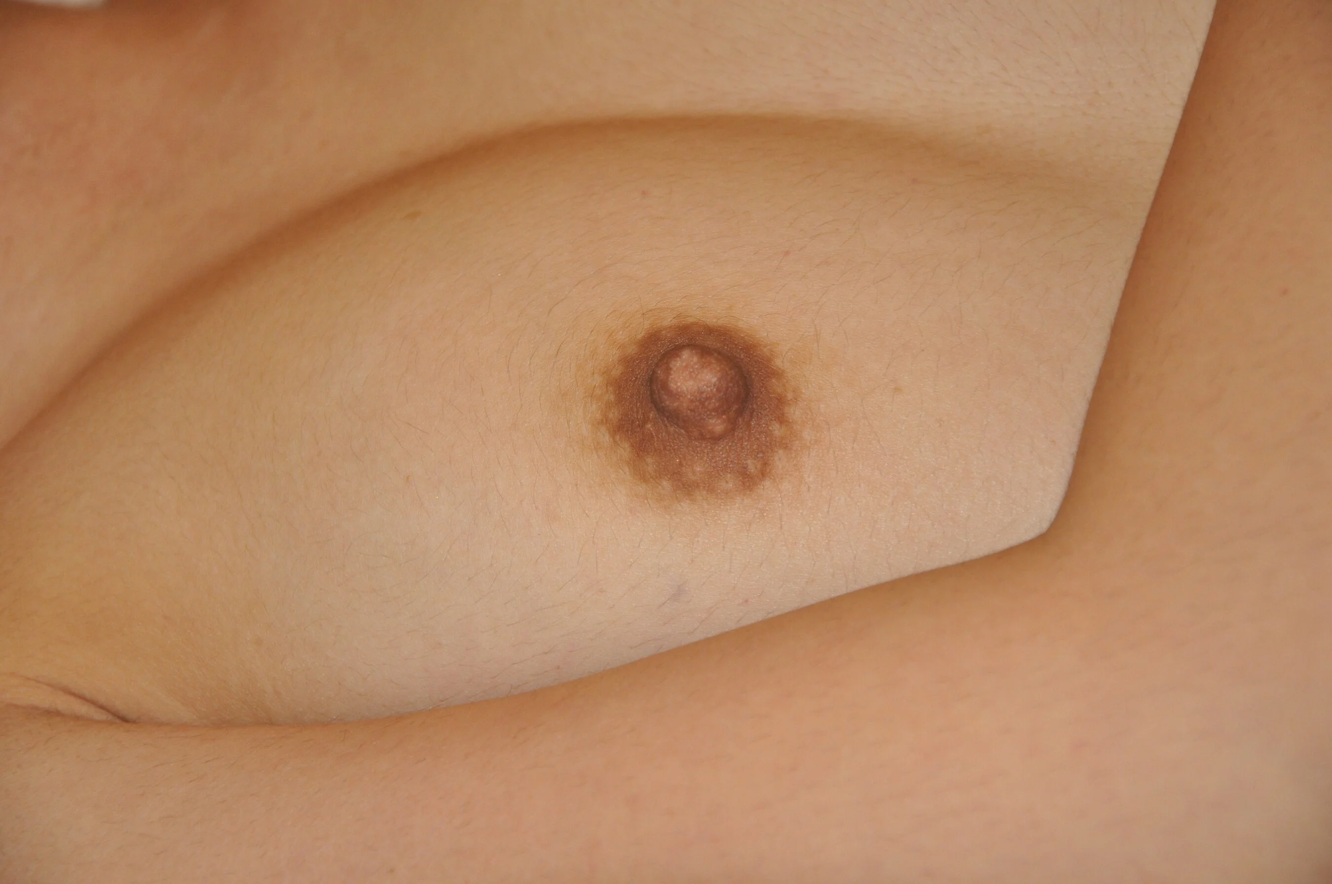 国模阿奴（小妖）大尺度人体私拍套图 - Photo 370