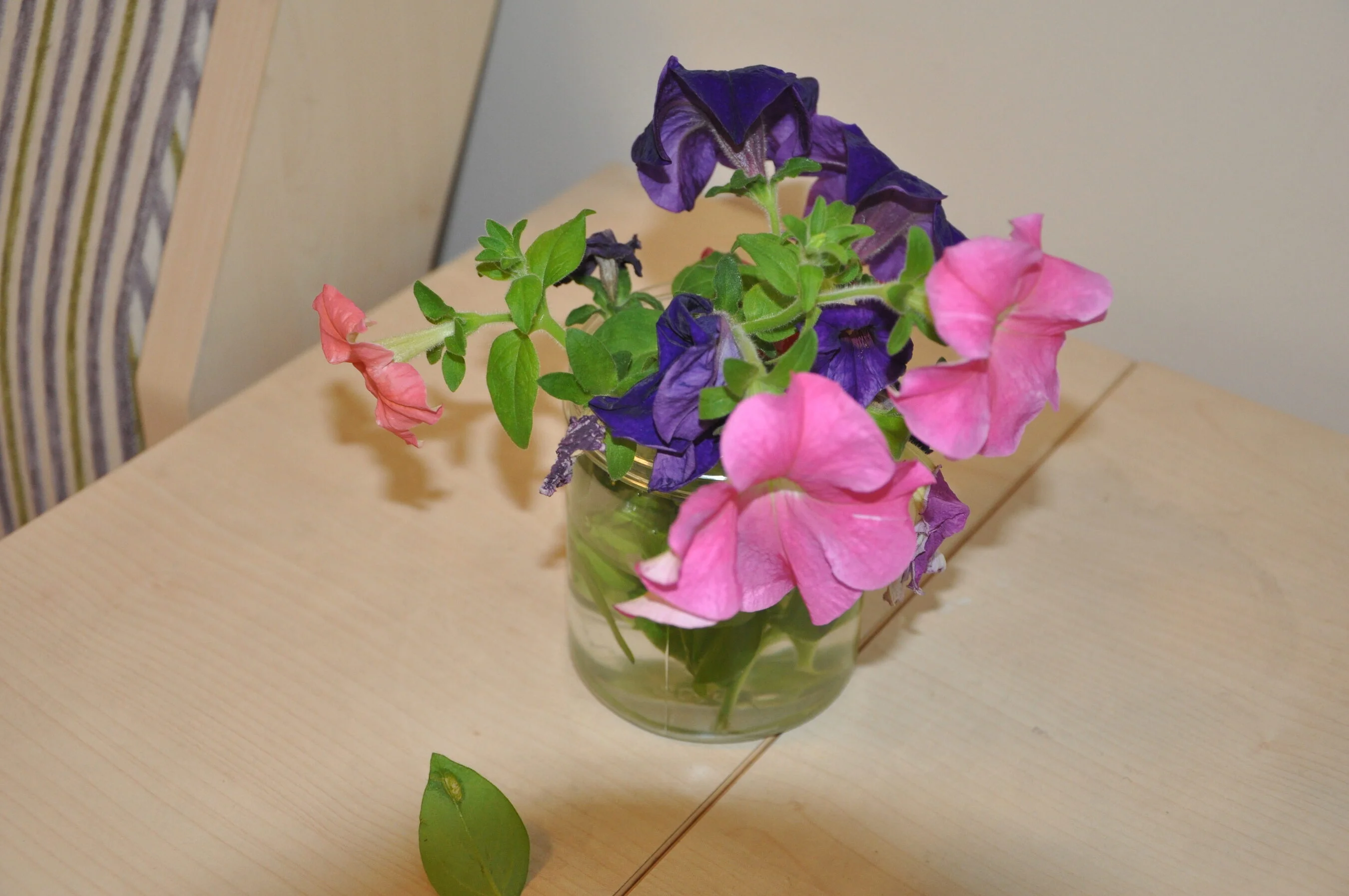 国模阿奴（小妖）大尺度人体私拍套图 - Photo 374