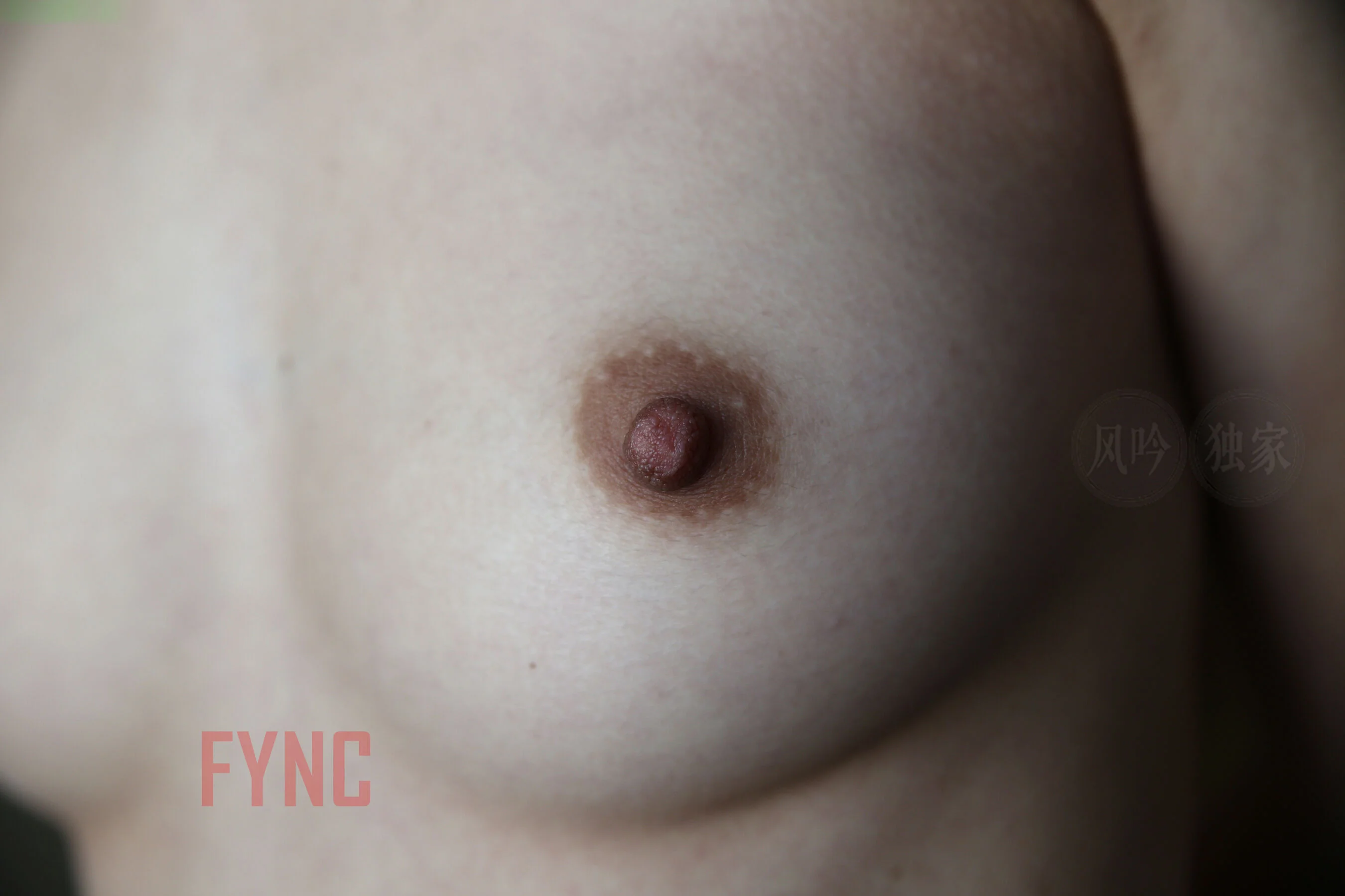 国模苏欣冉大尺度人体私拍套图 - Photo 540