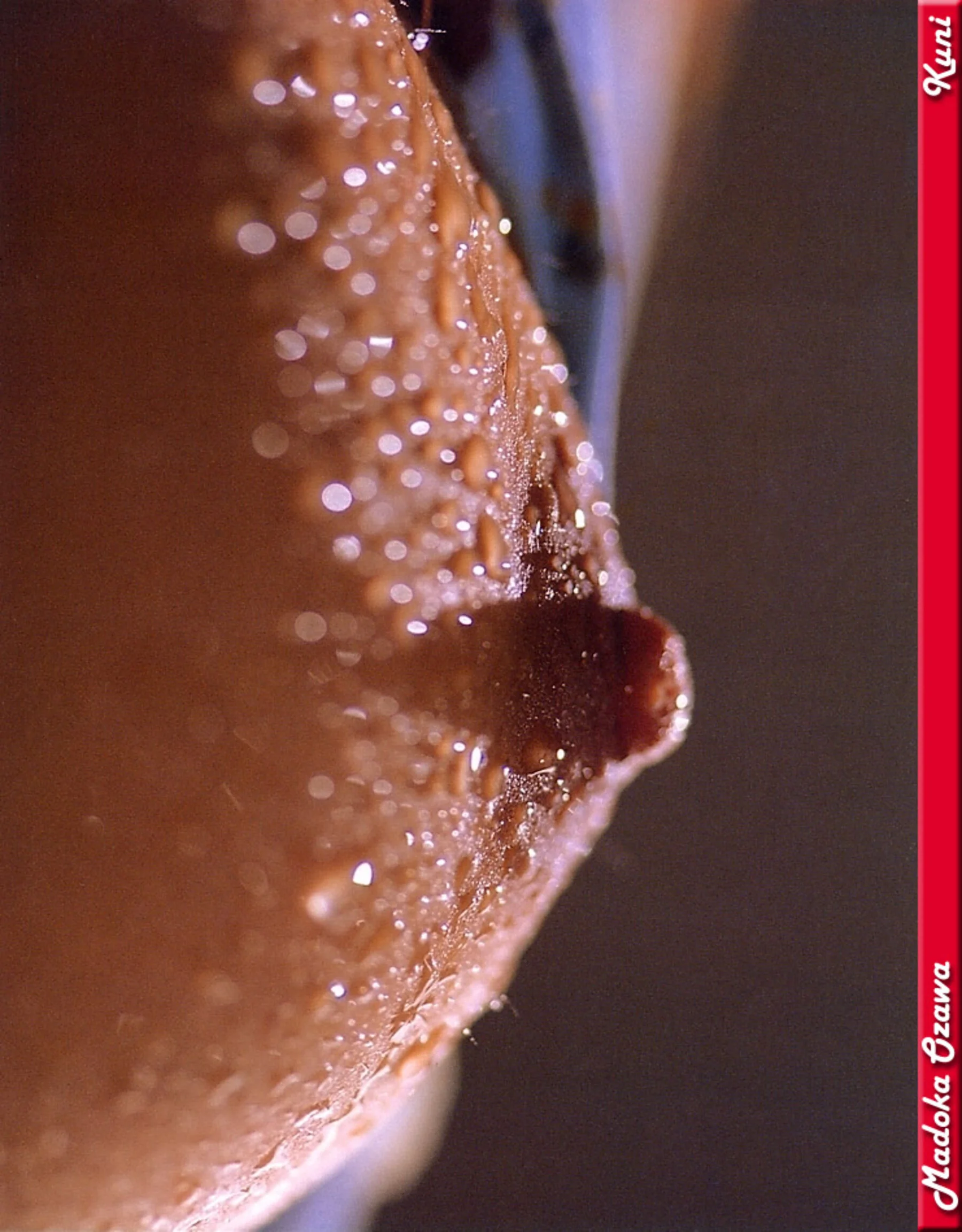 小泽圆 - Photo 58