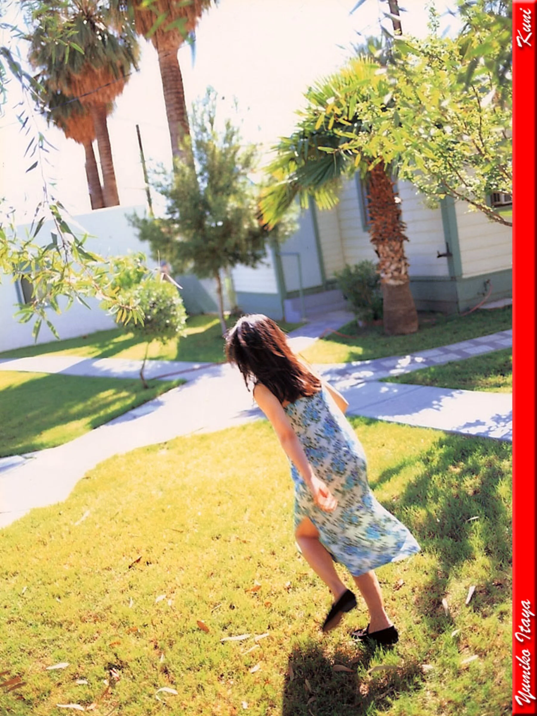 坂谷佑三子 - Photo 328