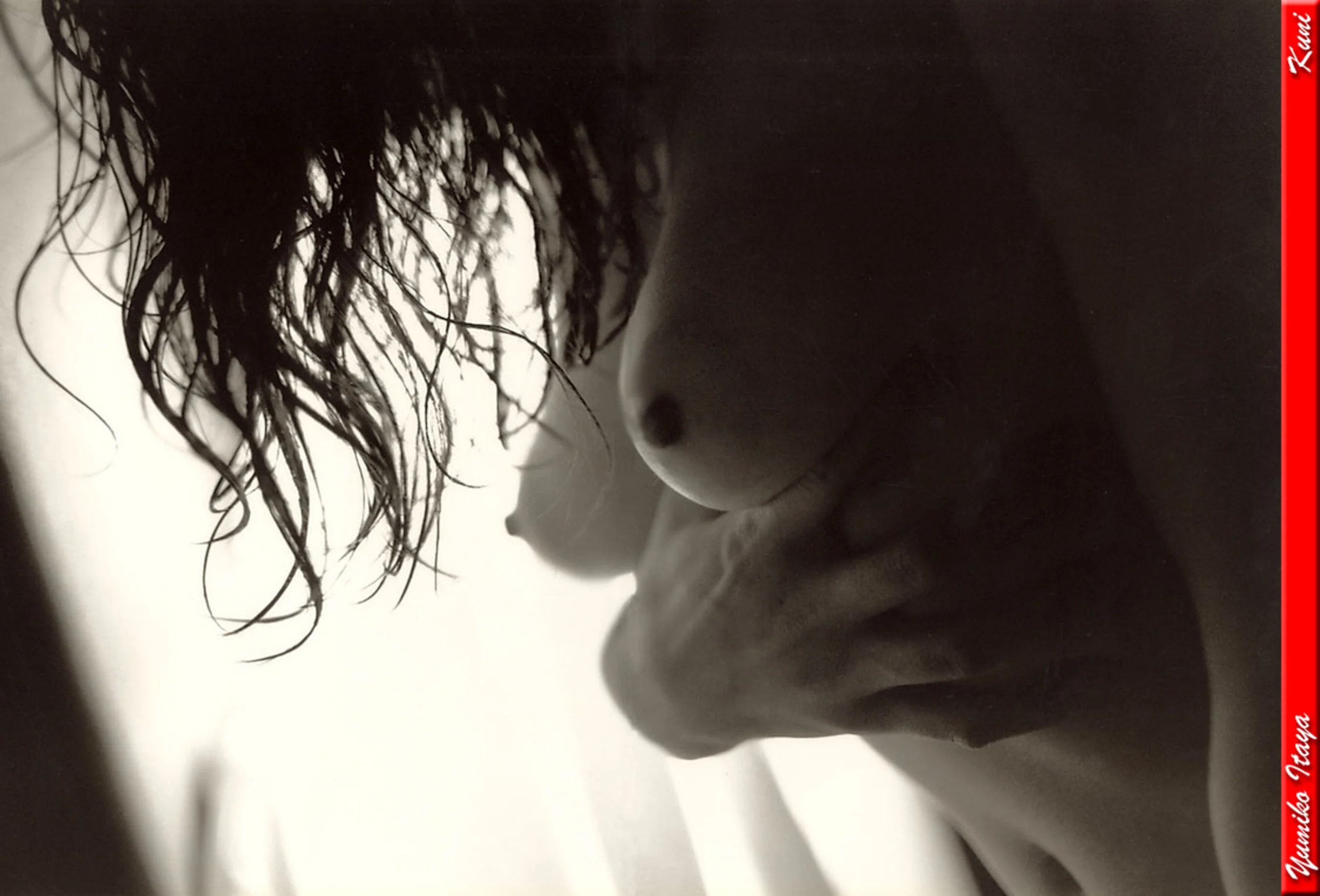 坂谷佑三子 - Photo 347