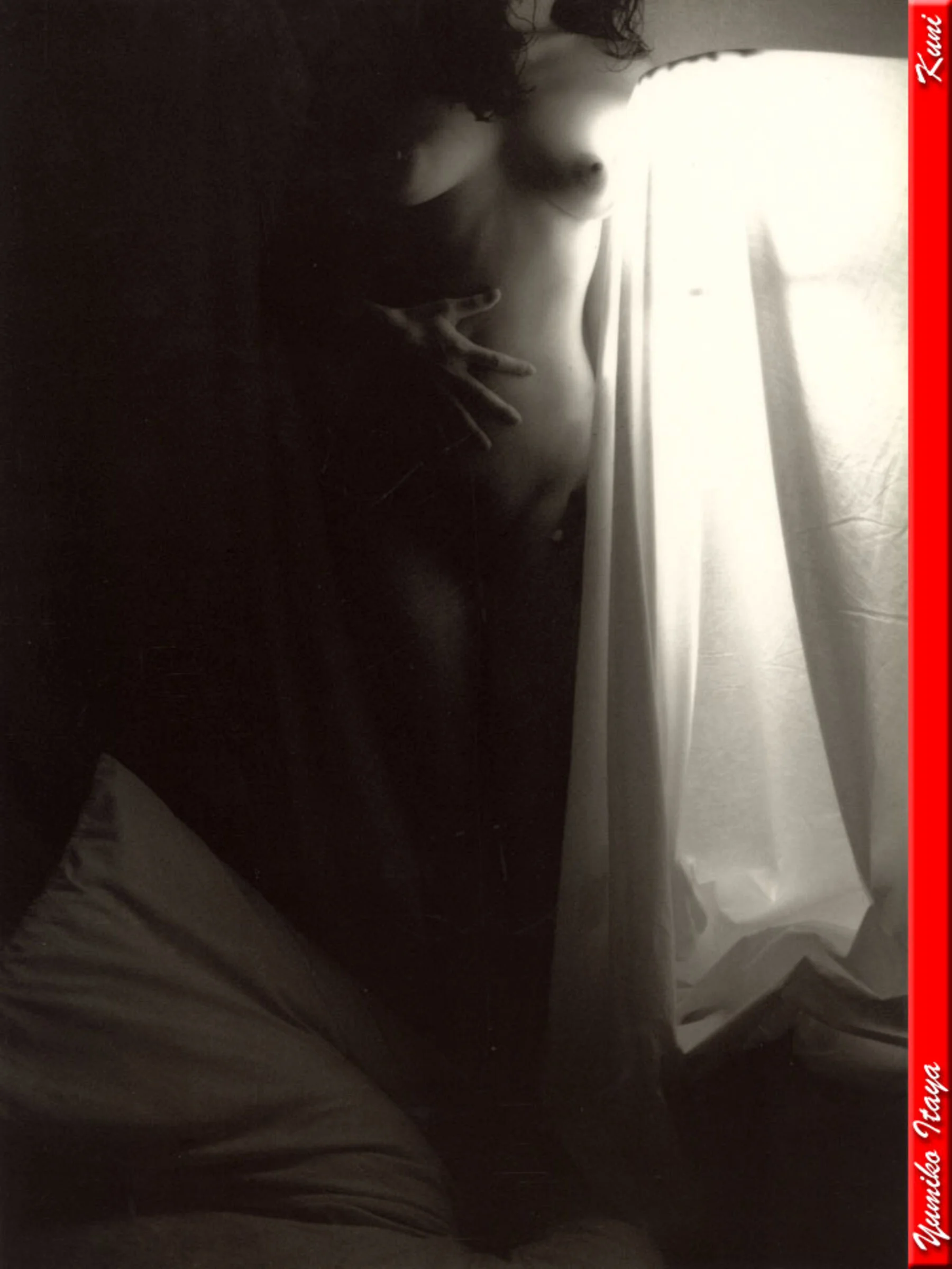 坂谷佑三子 - Photo 355