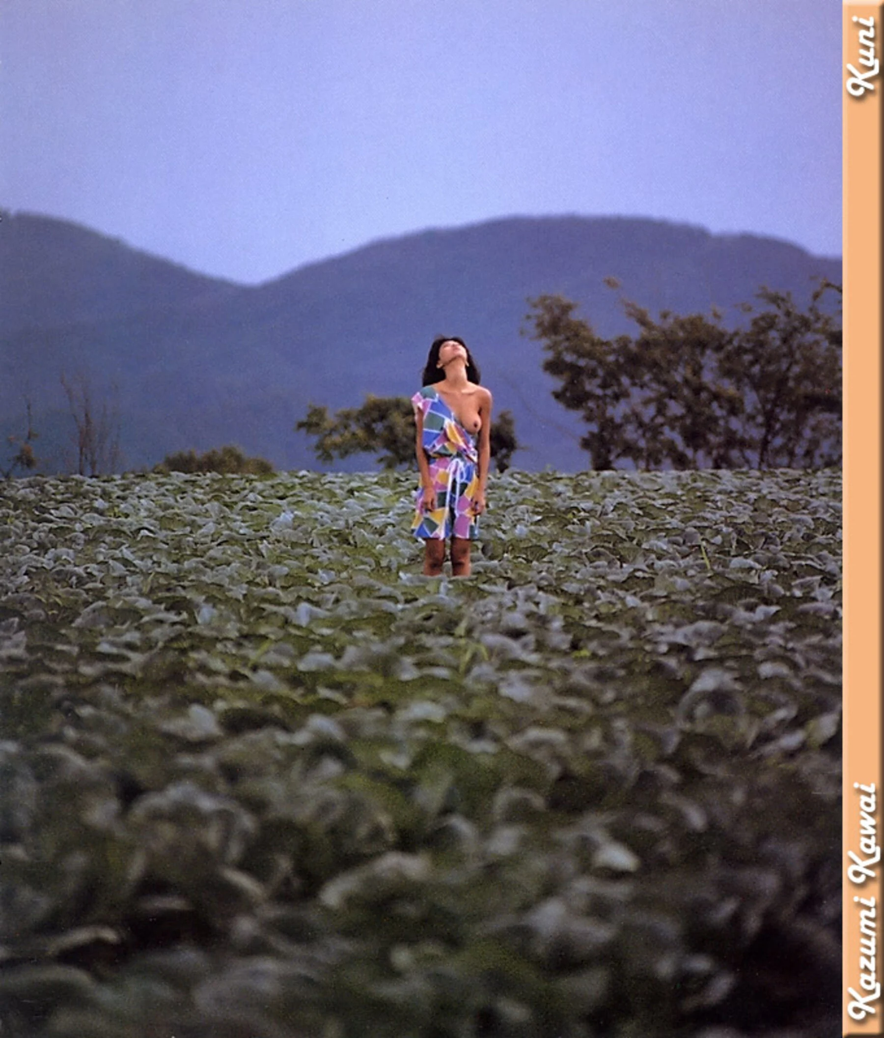 可爱和美 - Photo 11