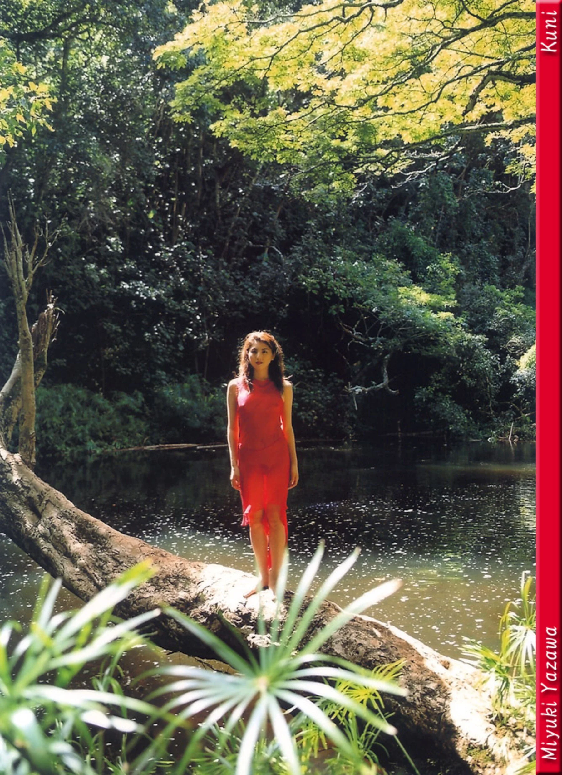 矢泽美幸