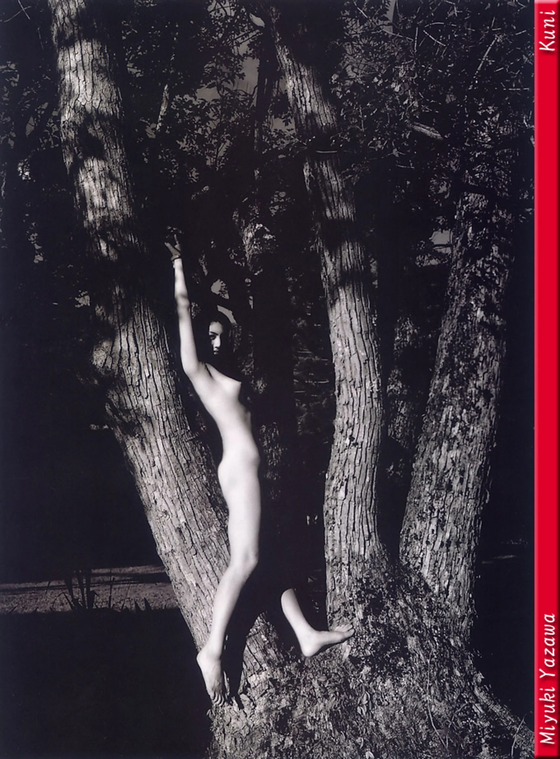 矢泽美幸 - Photo 22