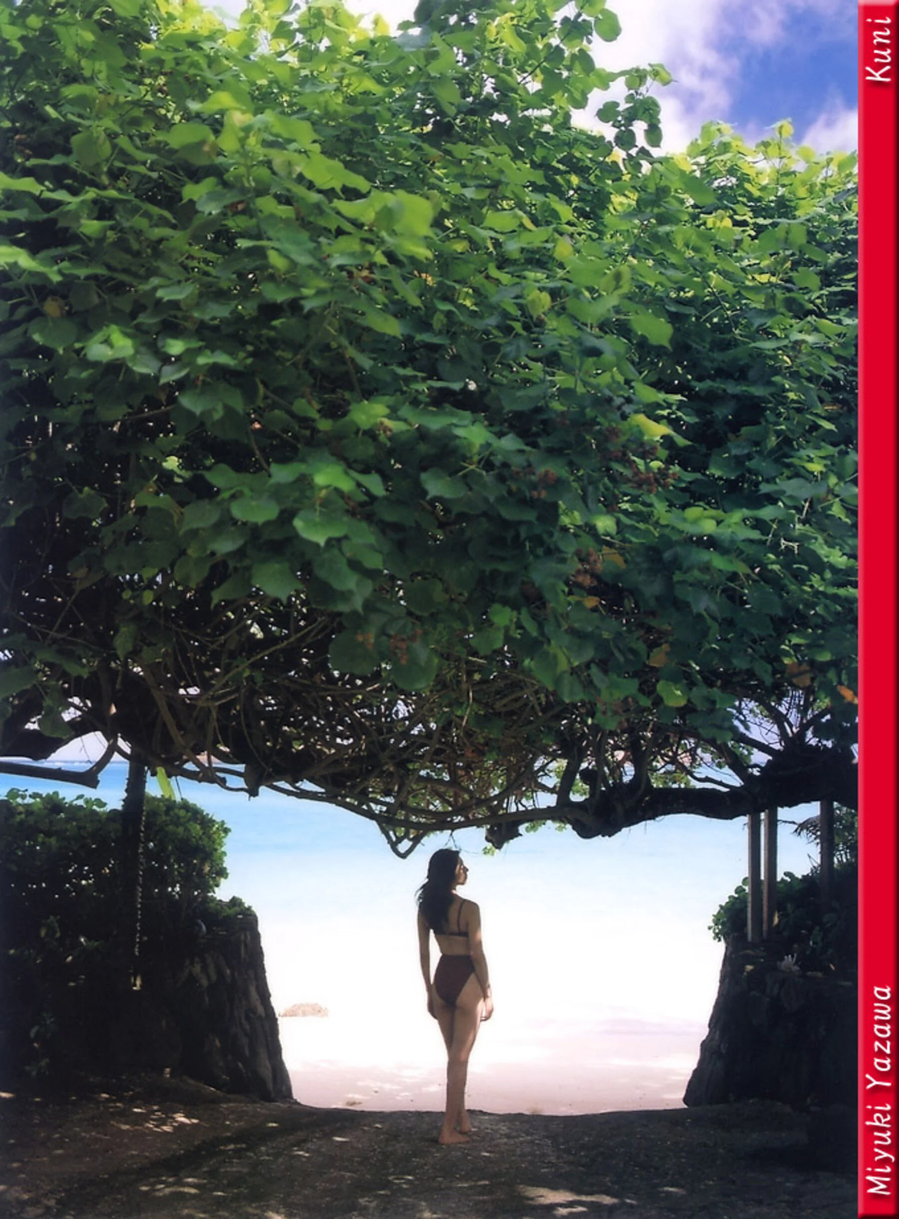 矢泽美幸 - Photo 27