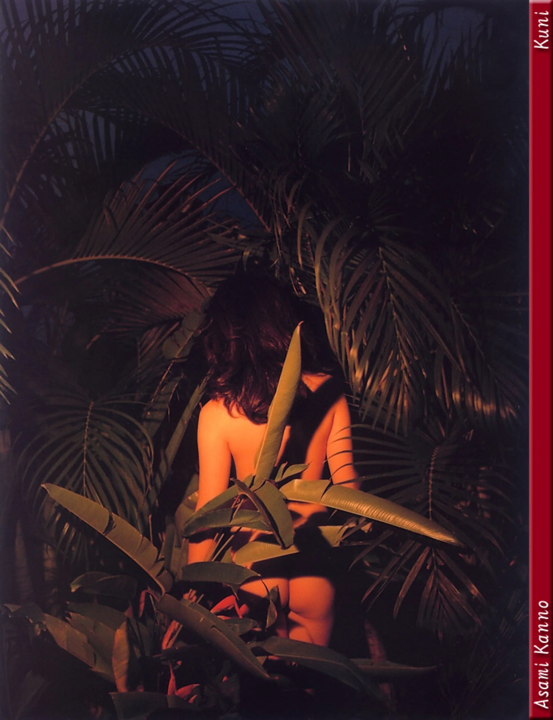 杨思敏 - Photo 132