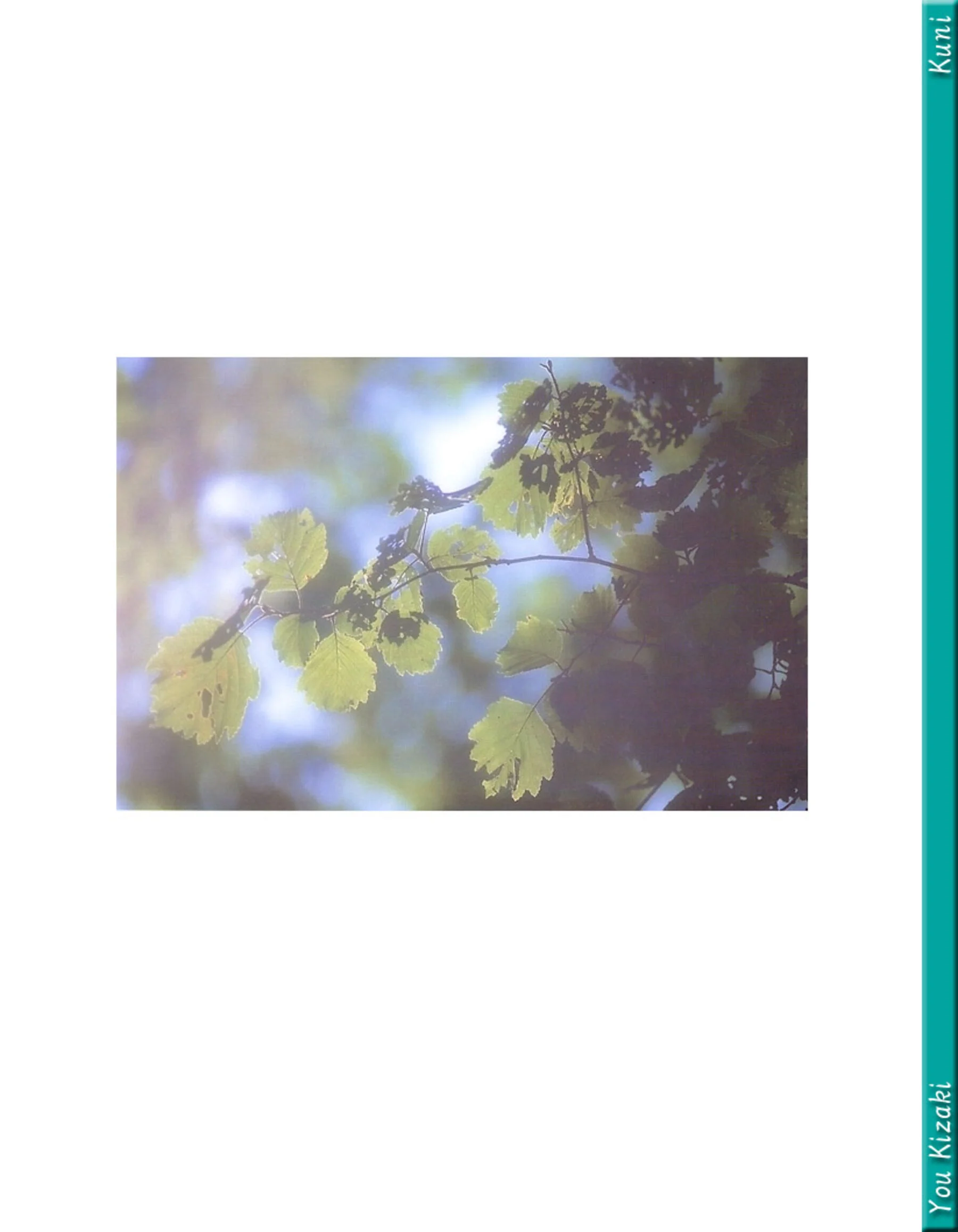 稀崎优 - Photo 127