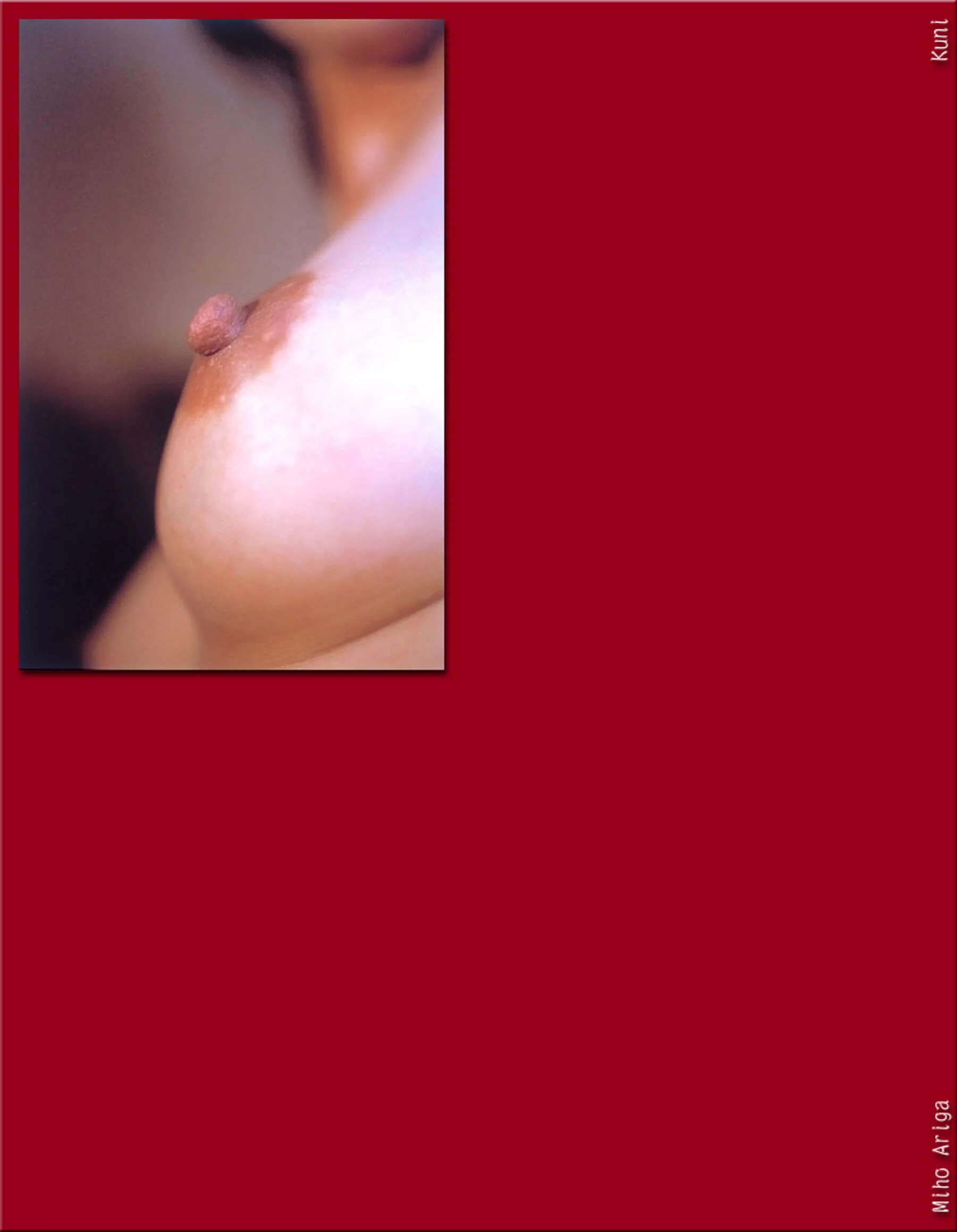 有贺美穗 - Photo 3