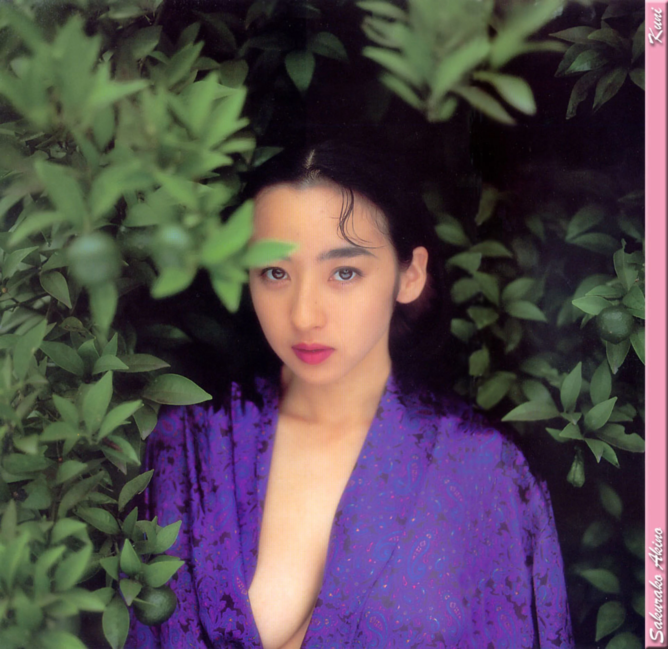 秋乃樱子 - Photo 4