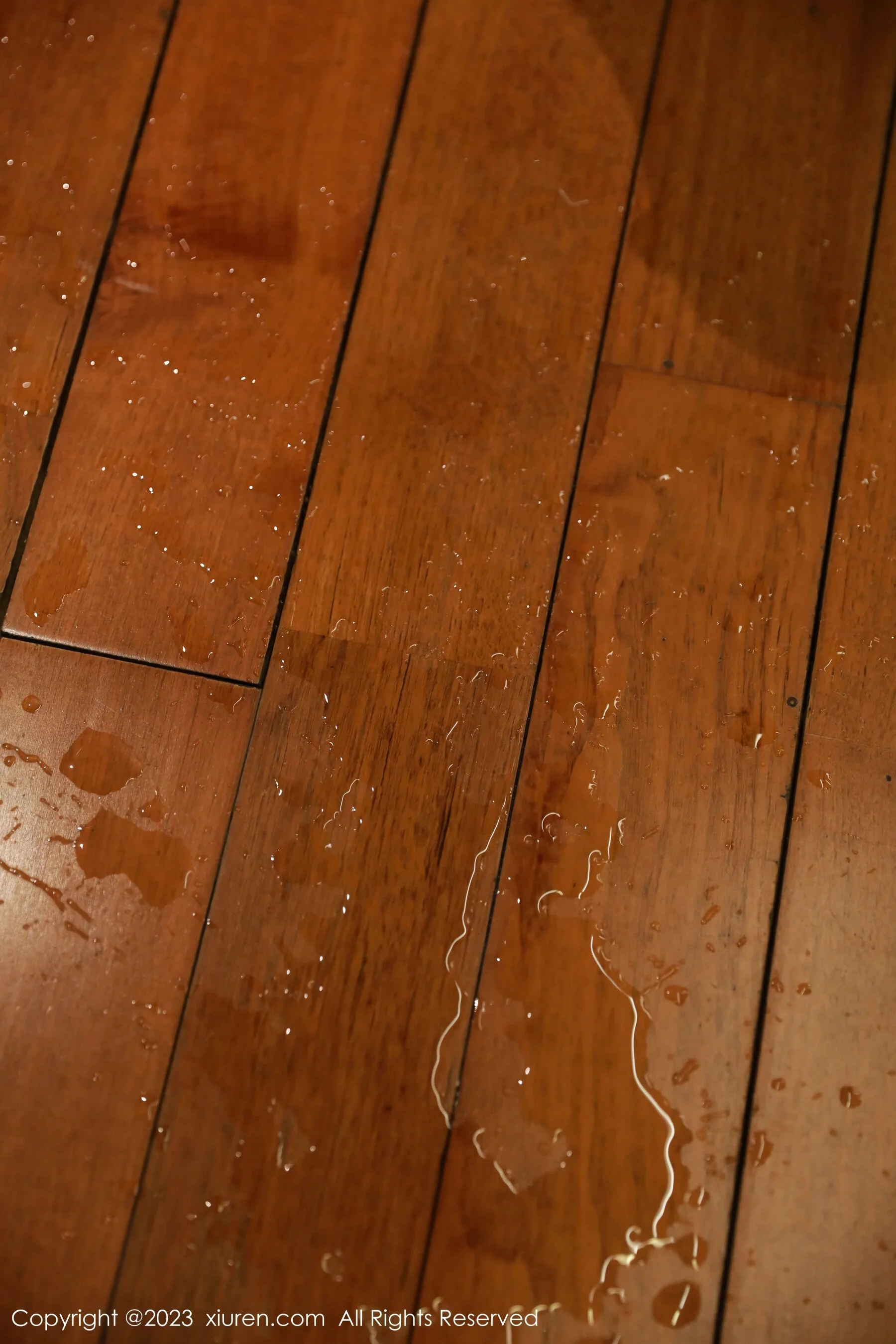 小薯条nienie - Photo 69