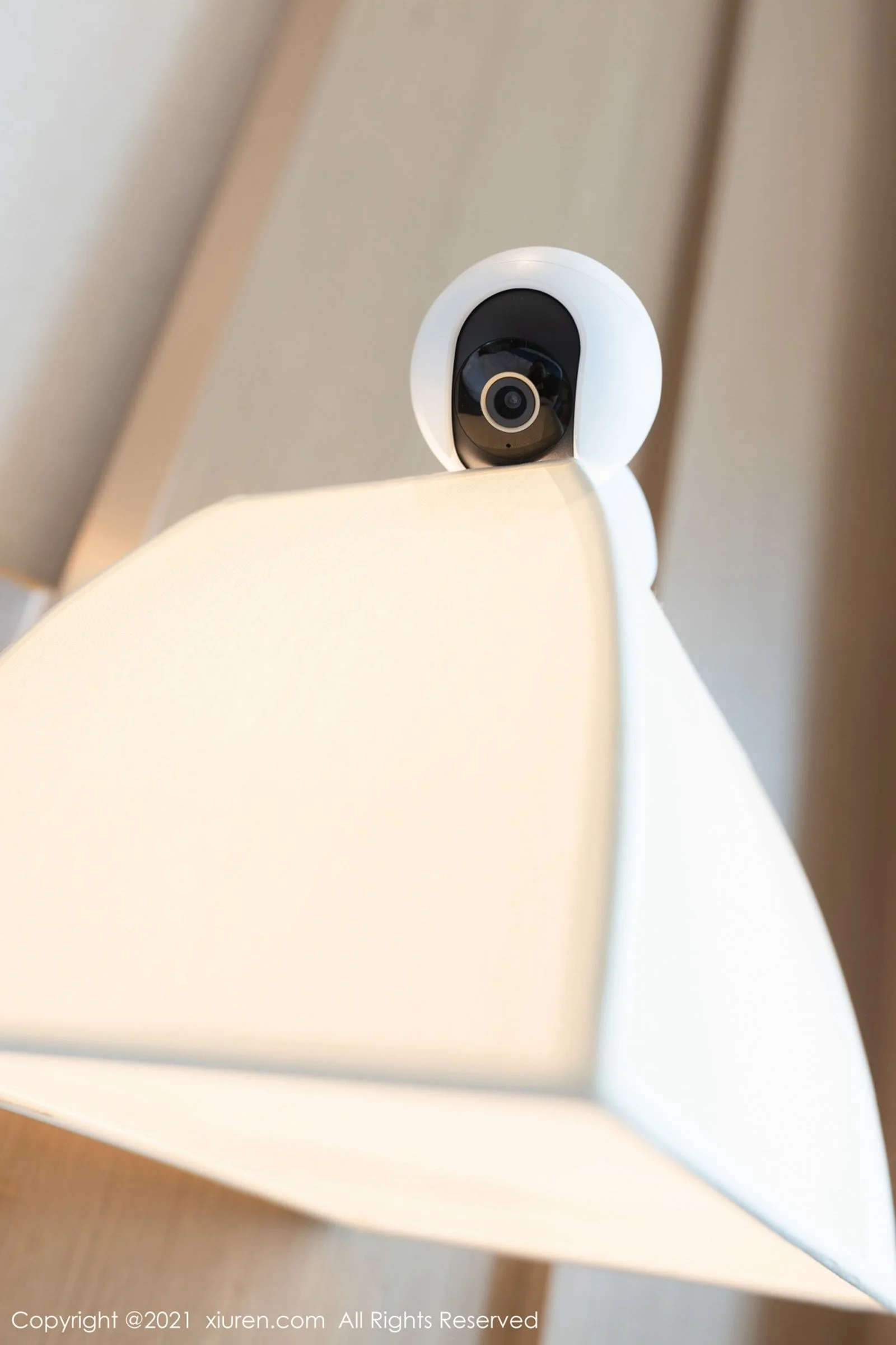 唐安琪 - Photo 12