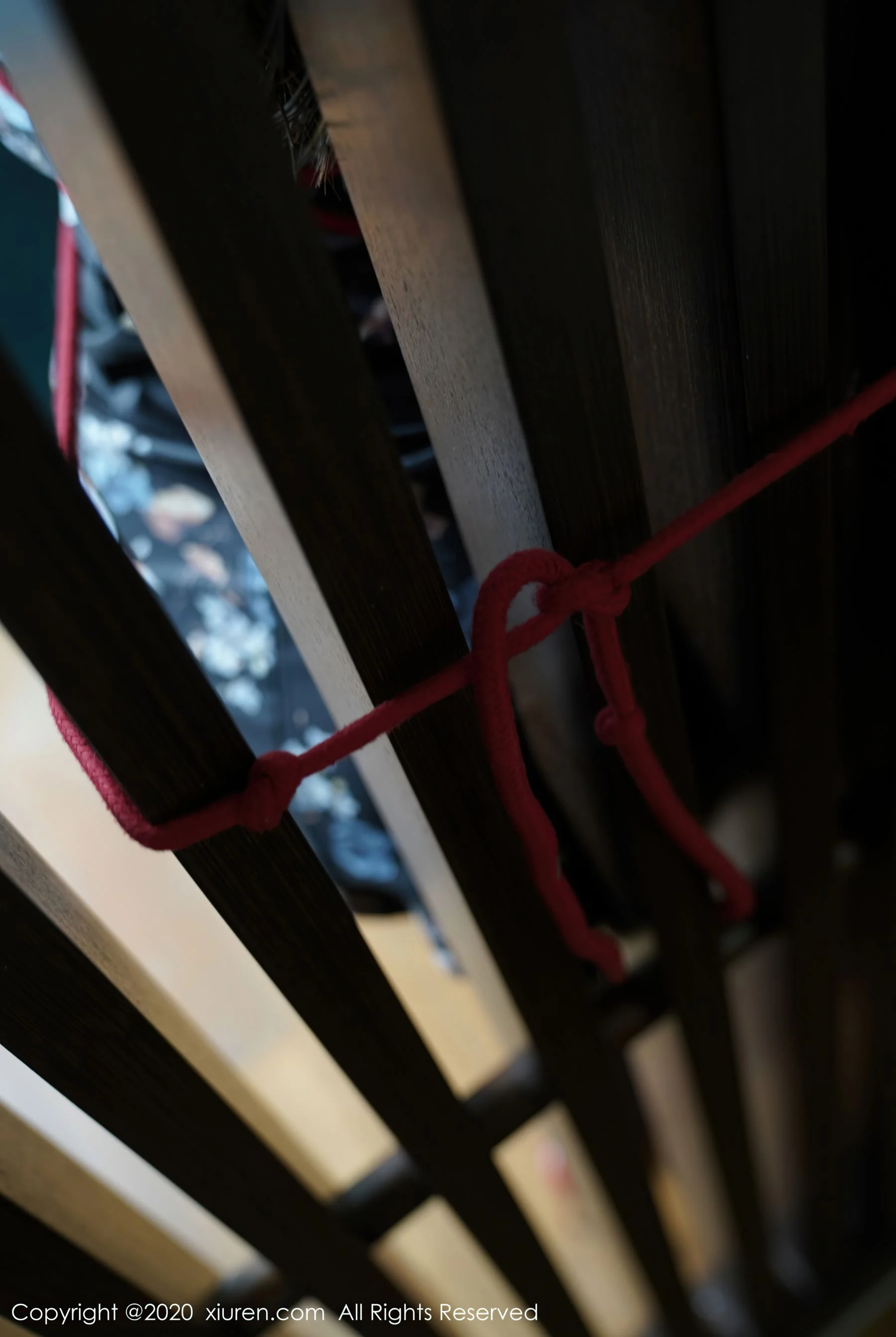 软软Roro - Photo 28