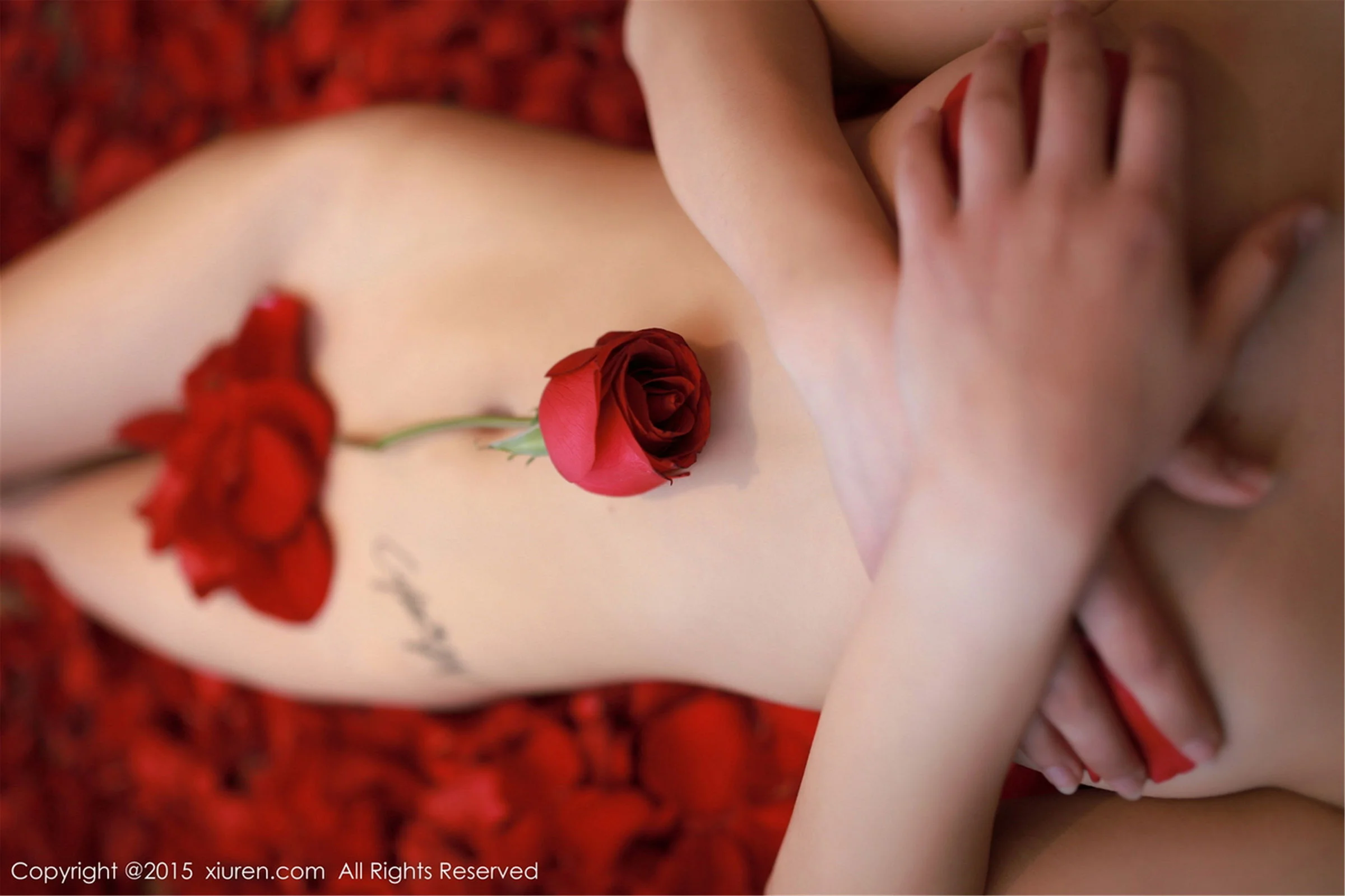 CyberJelly霜爷 - Photo 24