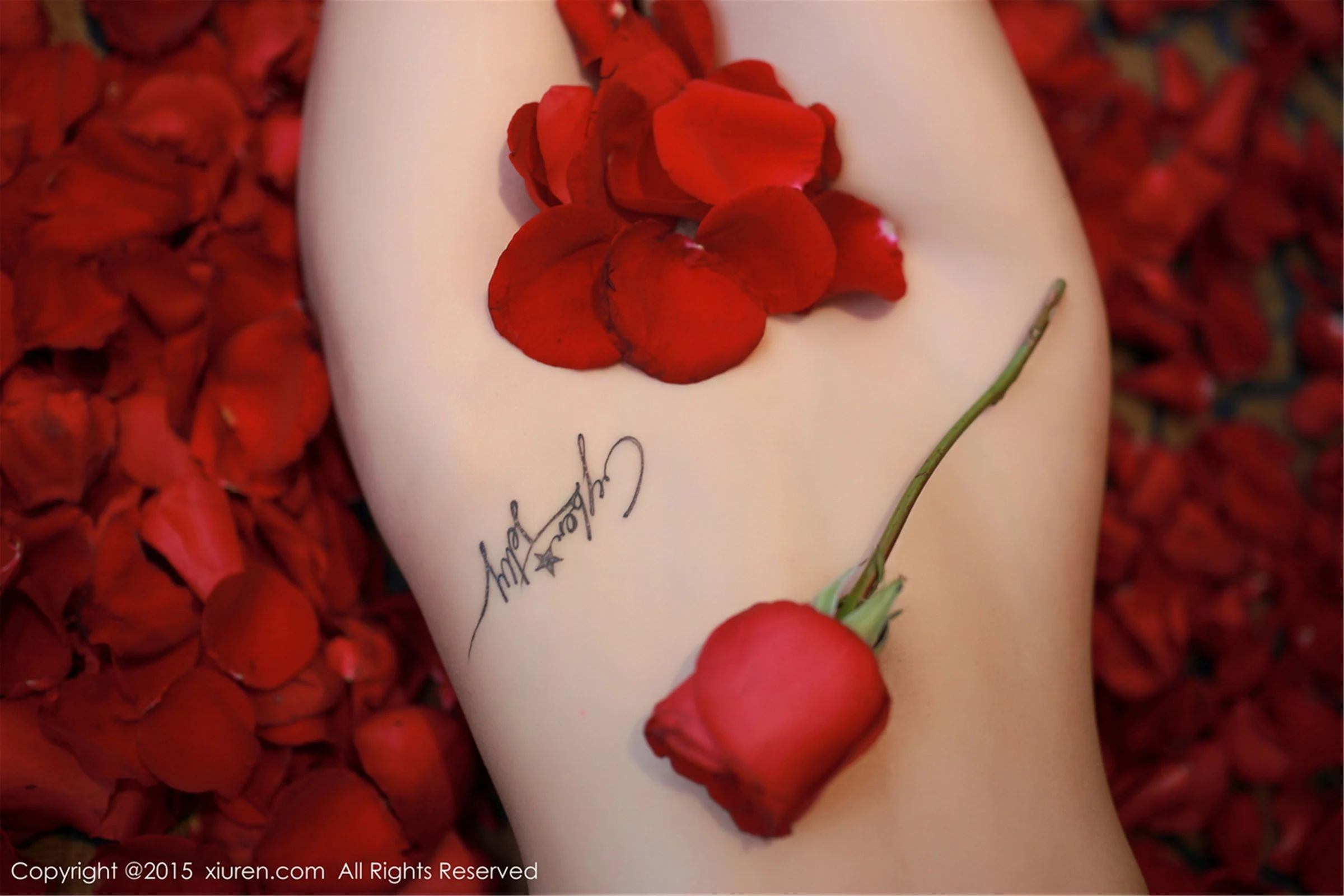 CyberJelly霜爷 - Photo 26