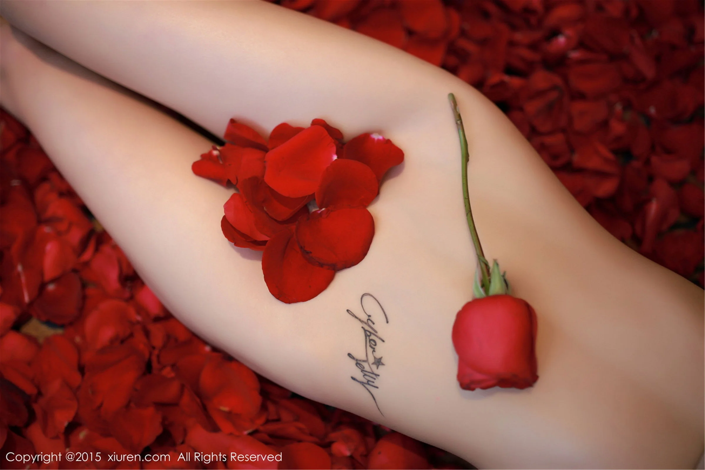 CyberJelly霜爷 - Photo 27