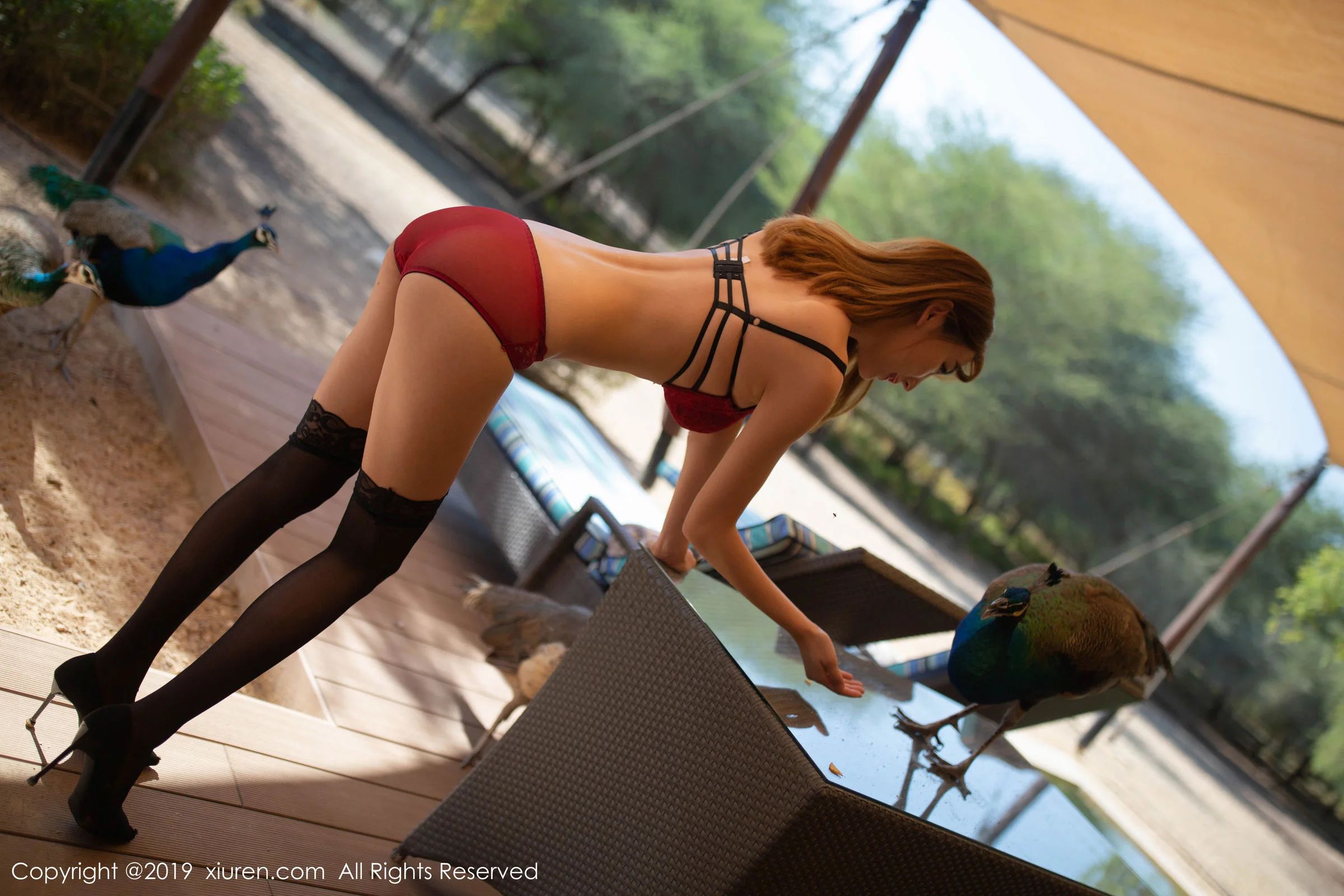 陆萱萱 - Photo 13